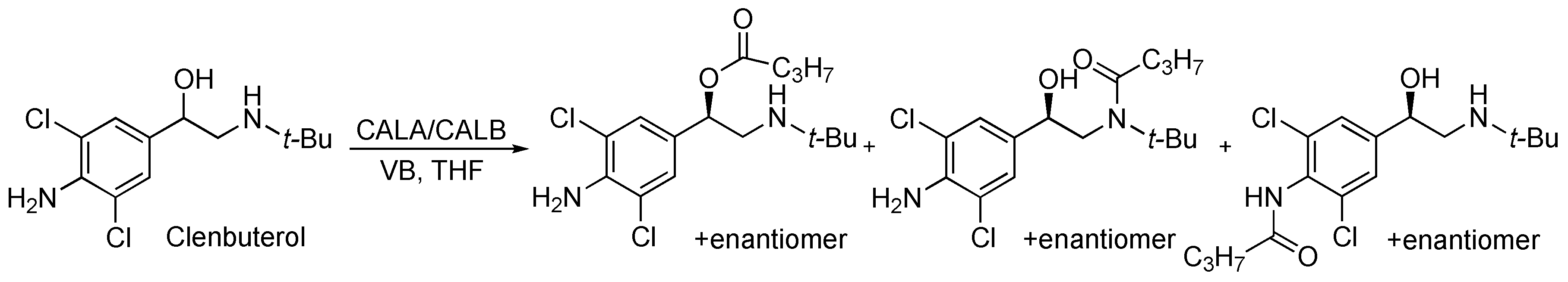 Catalysts 08 00516 sch002