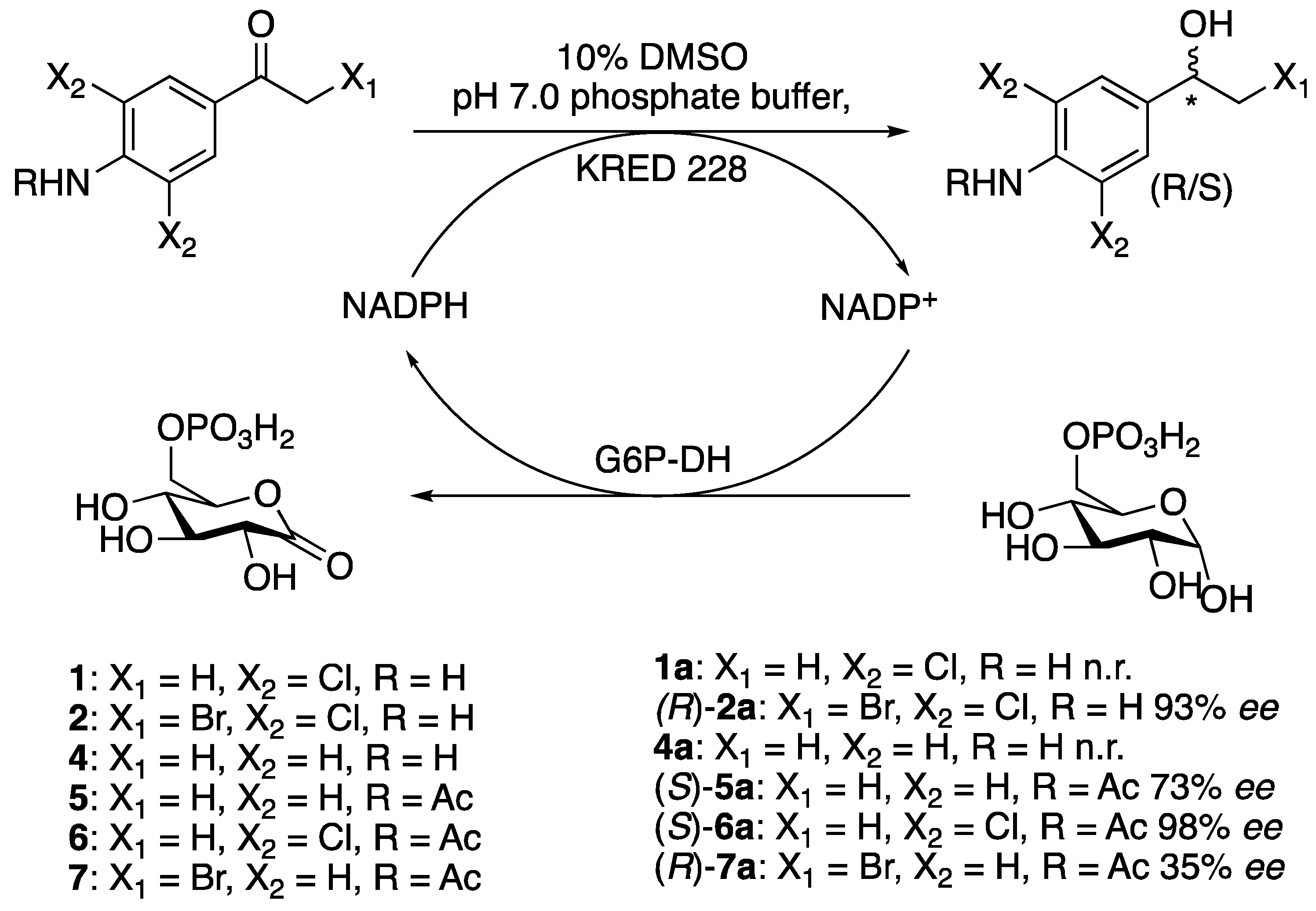 Catalysts 08 00516 sch004