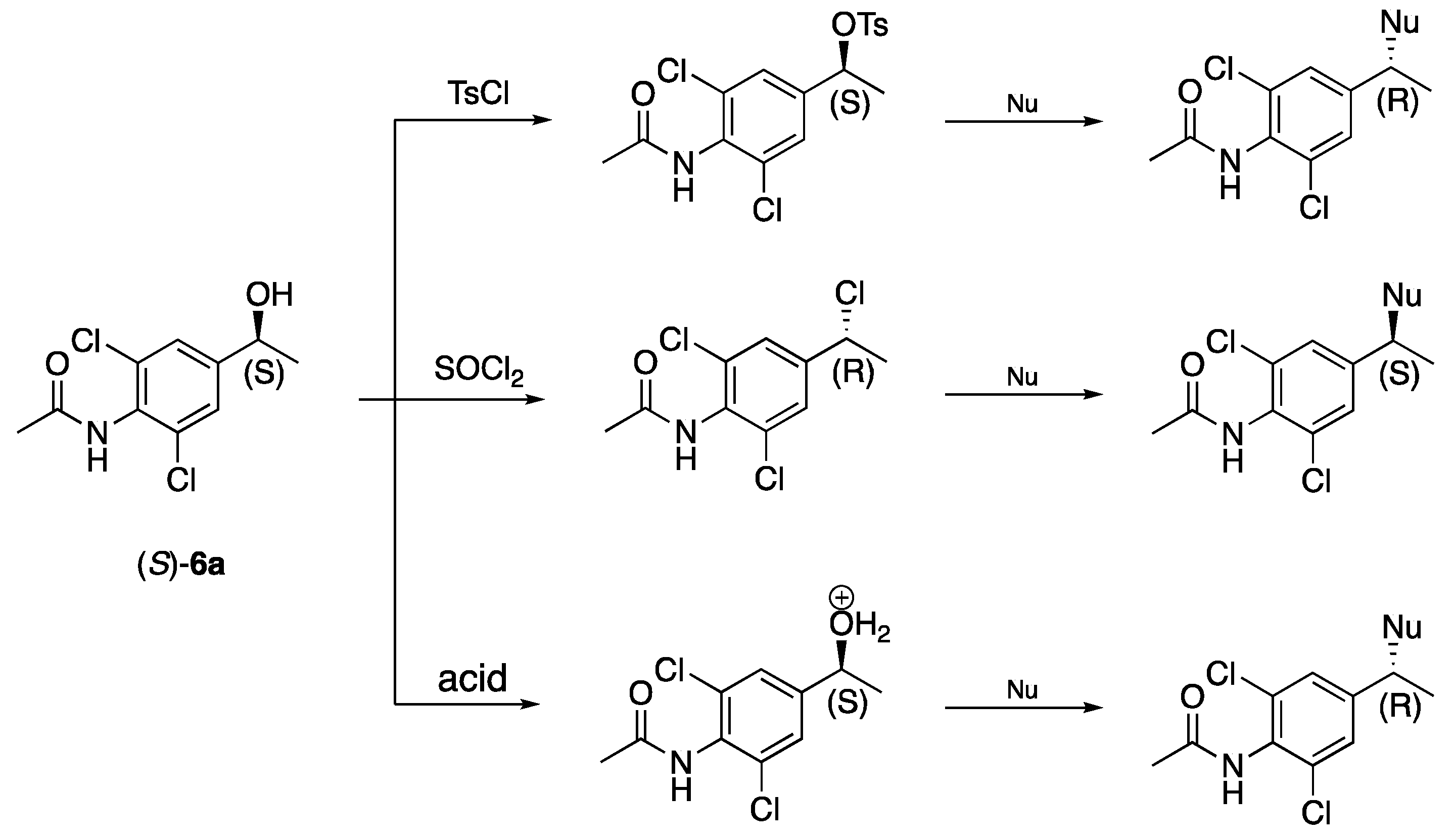 Catalysts 08 00516 sch005