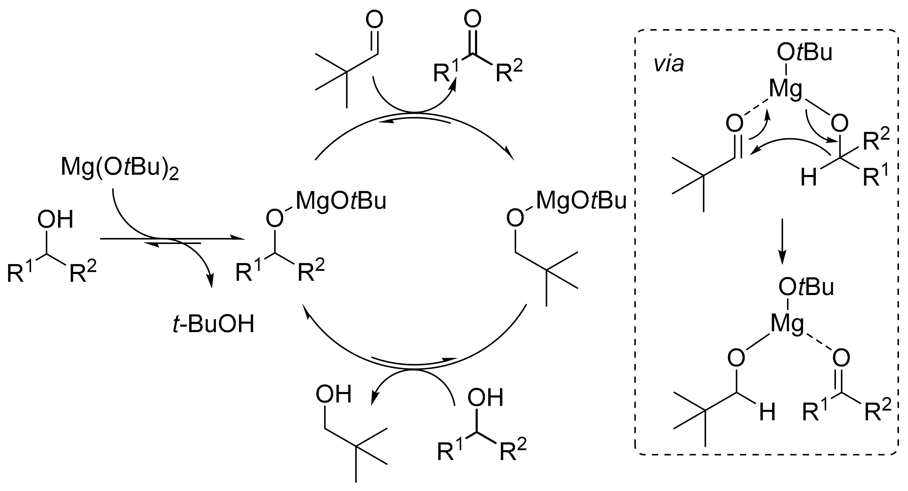 Catalysts 08 00529 sch001 Catalysts 08 00529 sch001