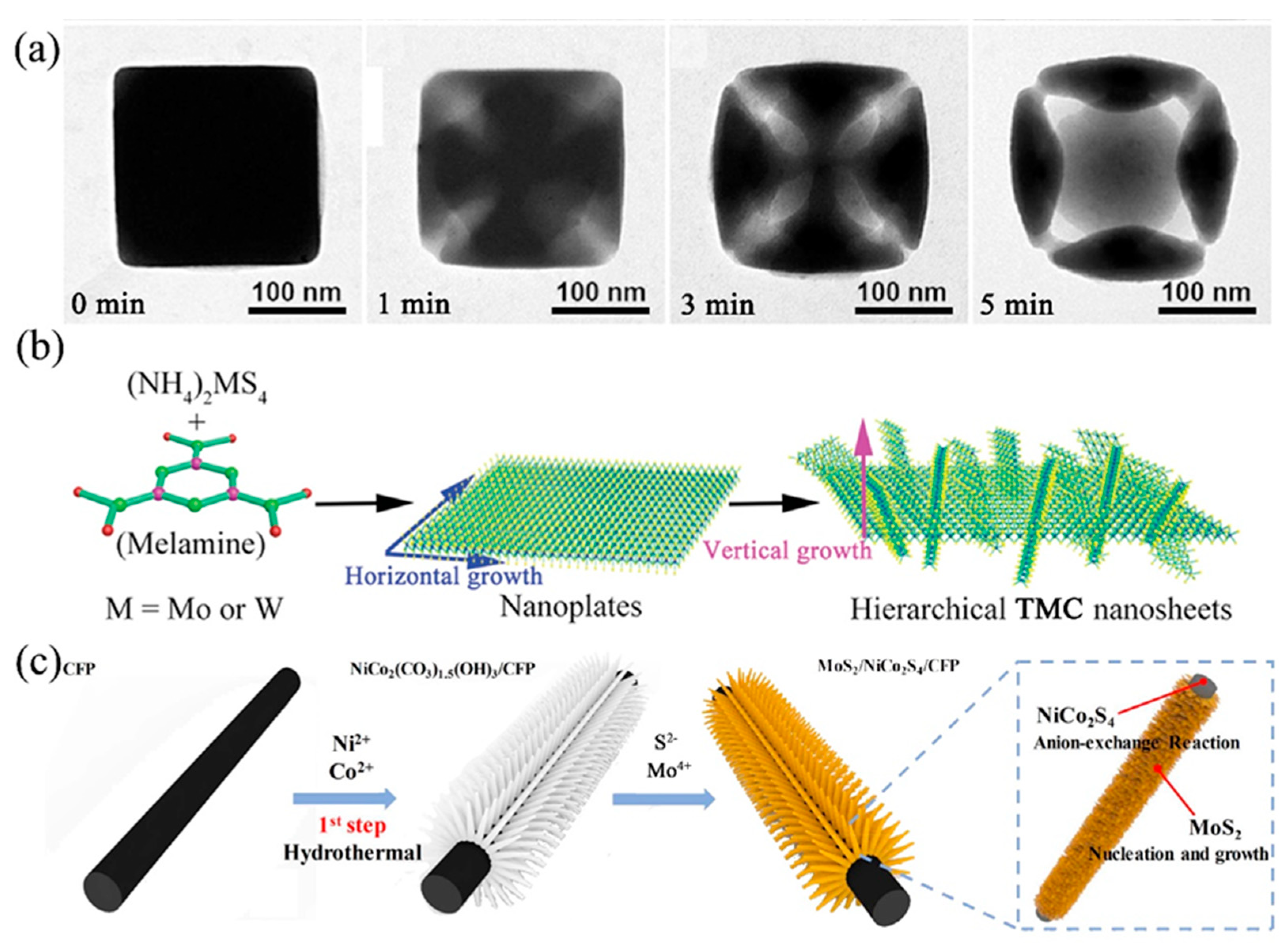 Catalysts 08 00551 g005