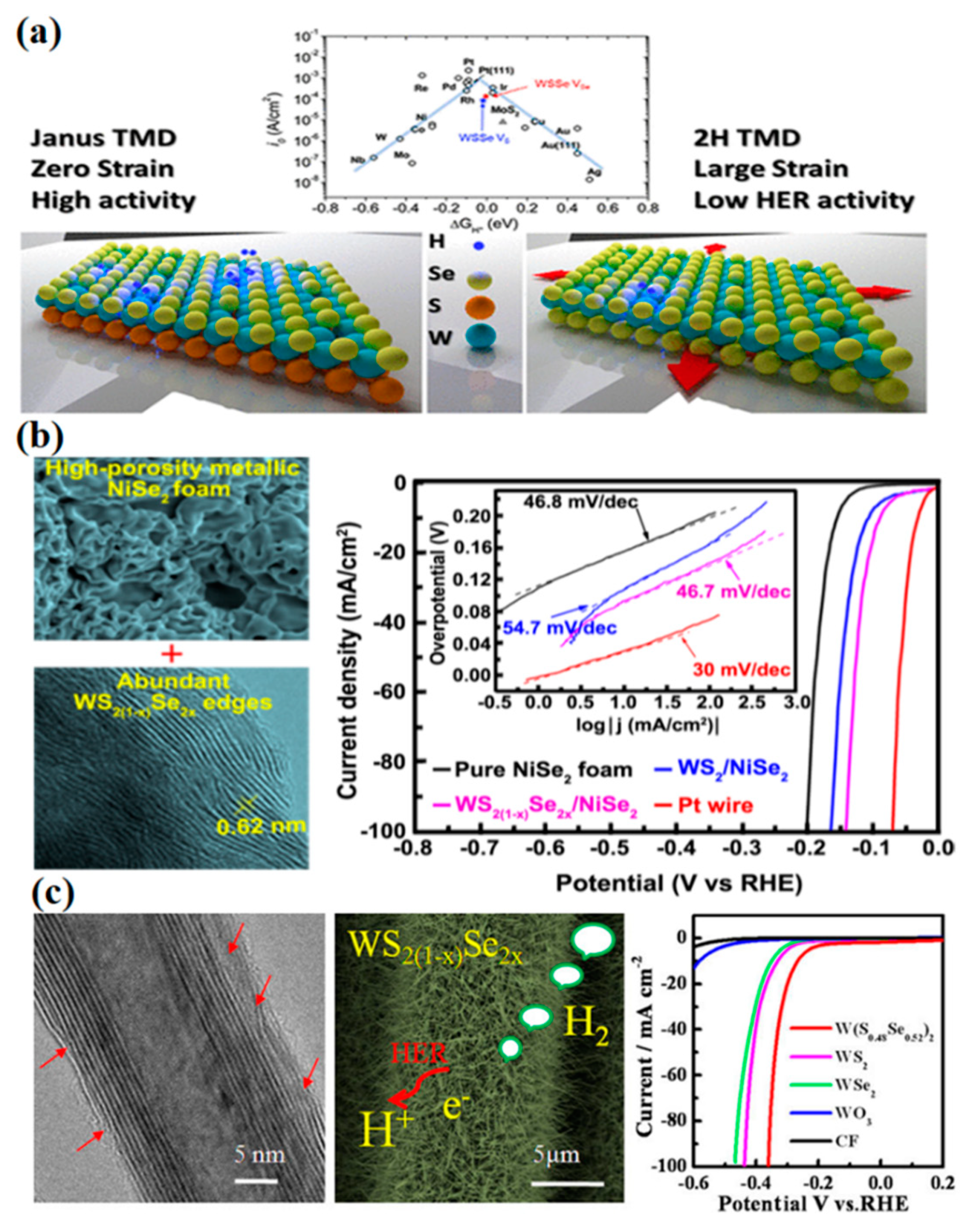 Catalysts 08 00551 g007
