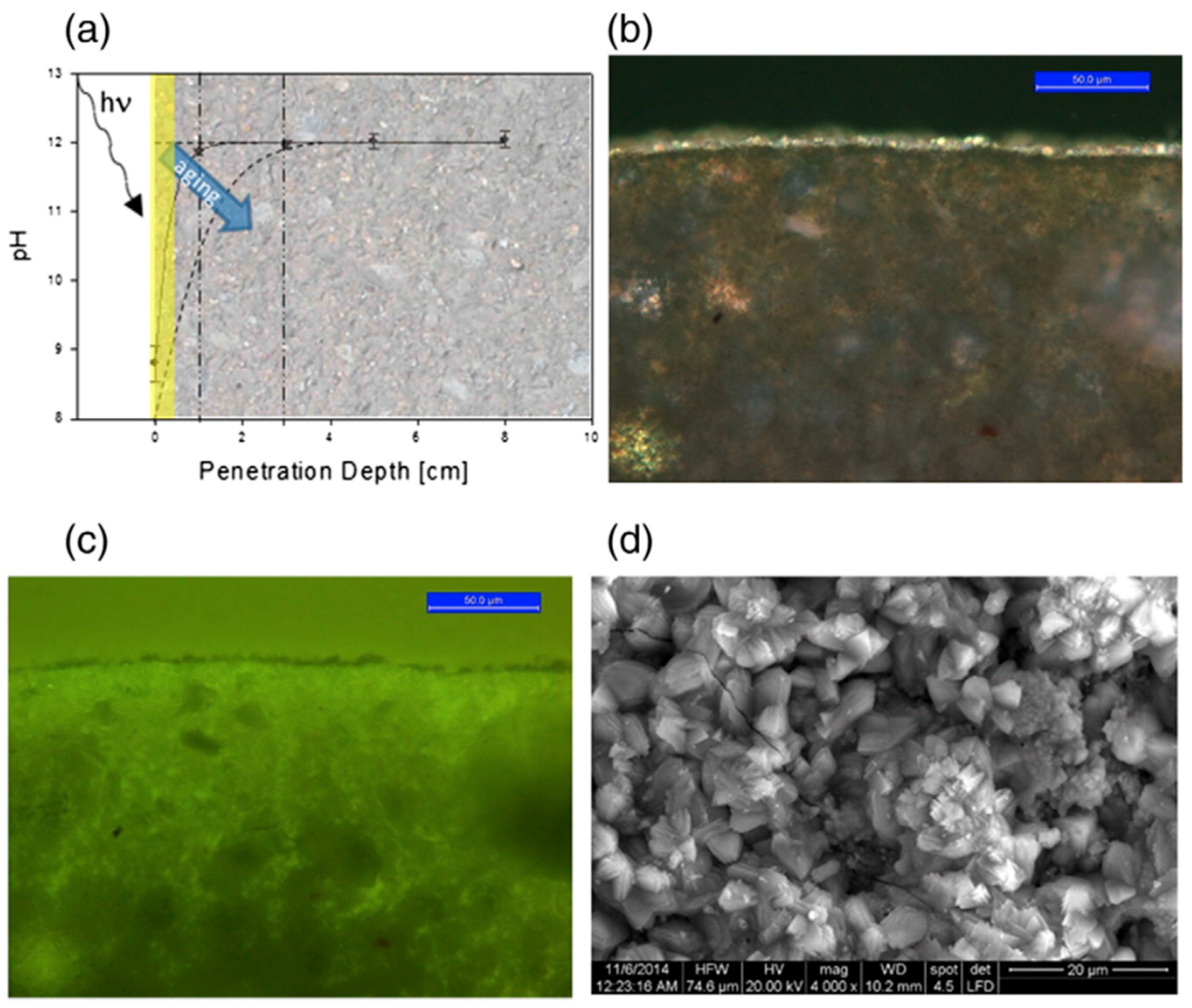 Catalysts 08 00553 g040