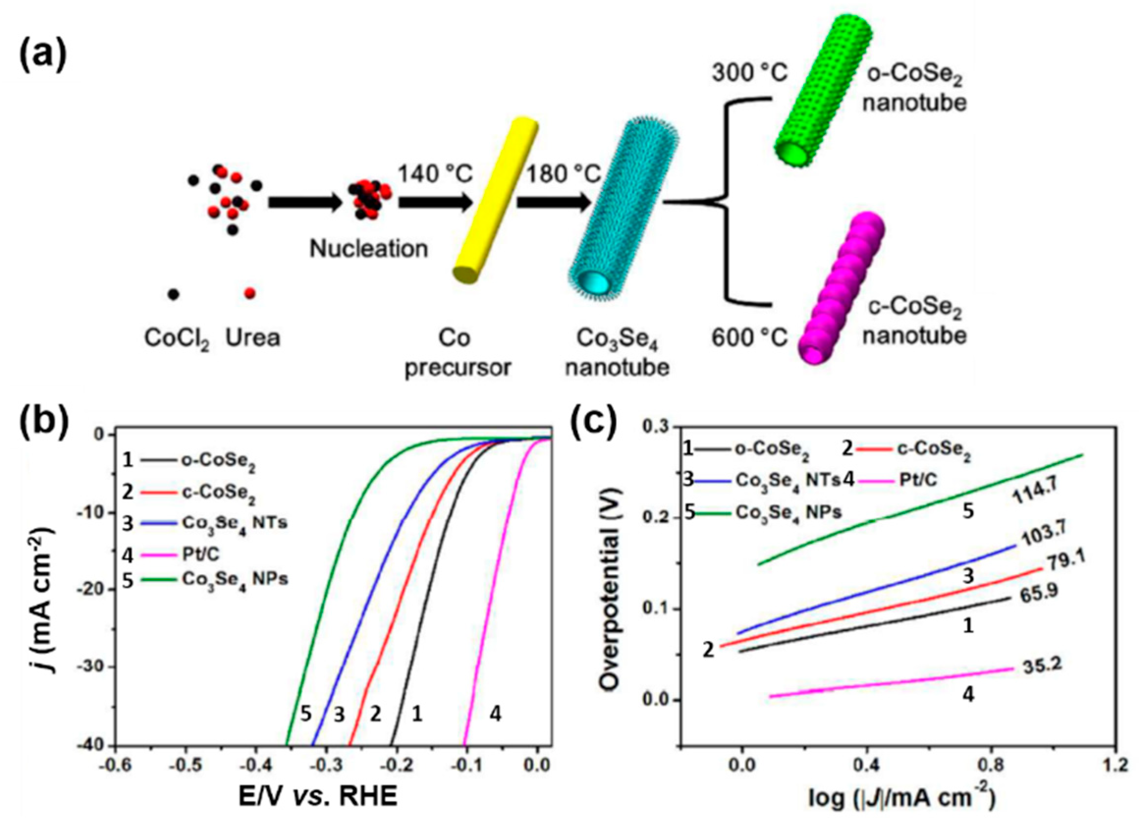 Catalysts 08 00559 g020