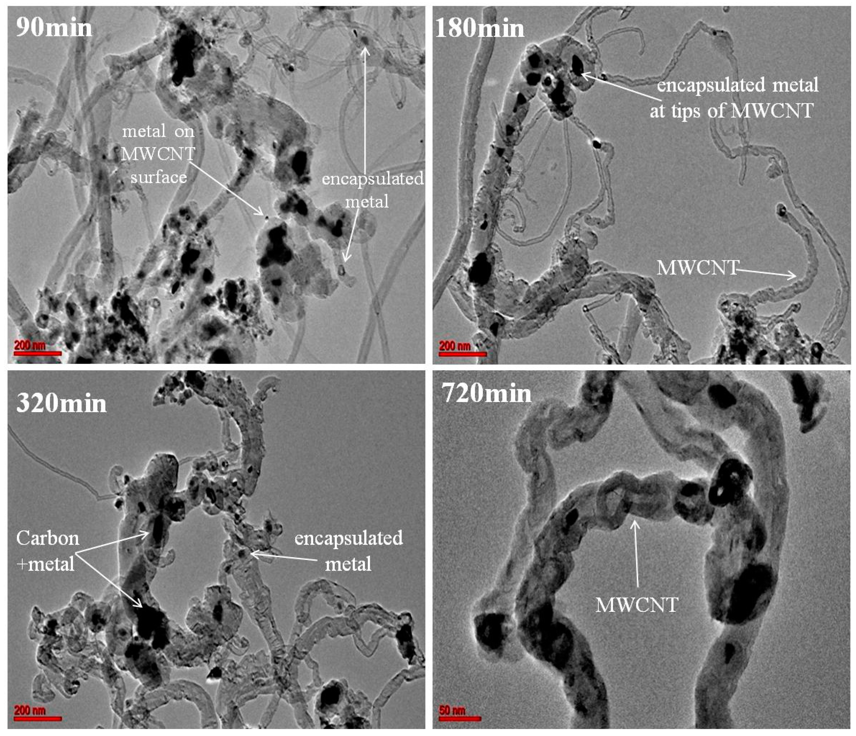 Catalysts 08 00567 g002
