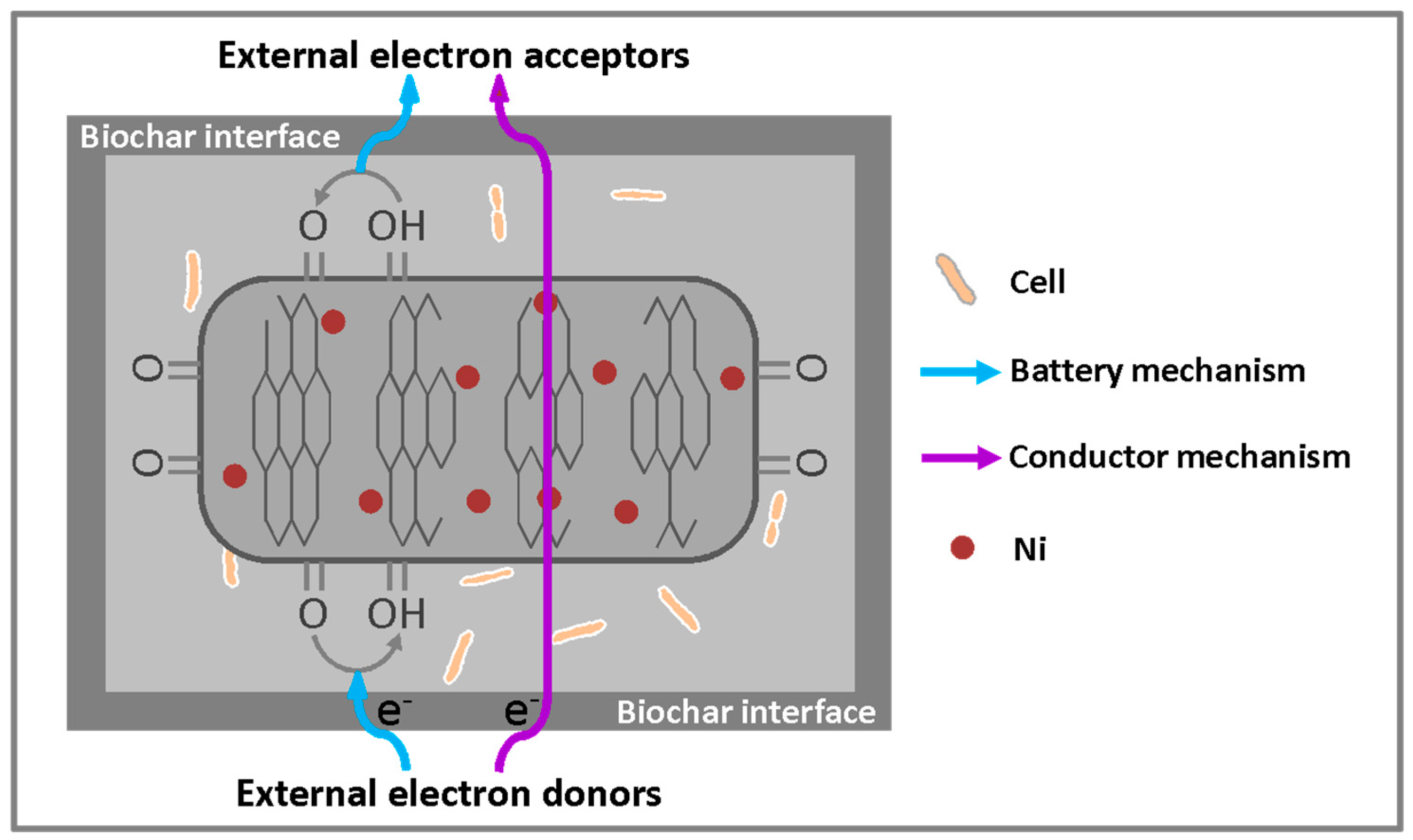 Catalysts 08 00573 g002 Catalysts 08 00573 g002
