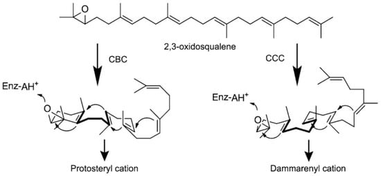 Catalysts 08 00577 g0a1 Catalysts 08 00577 g0a1