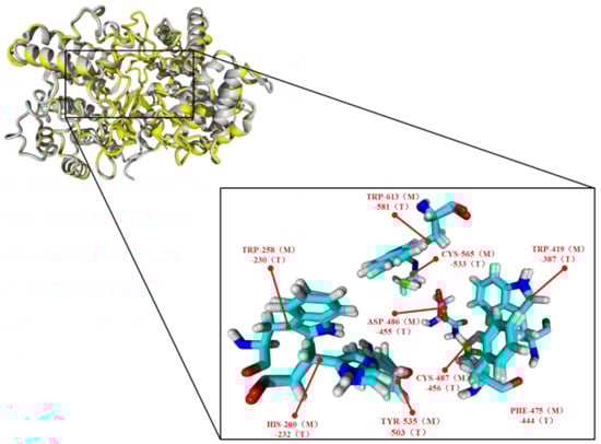 Catalysts 08 00577 g0a2 Catalysts 08 00577 g0a2