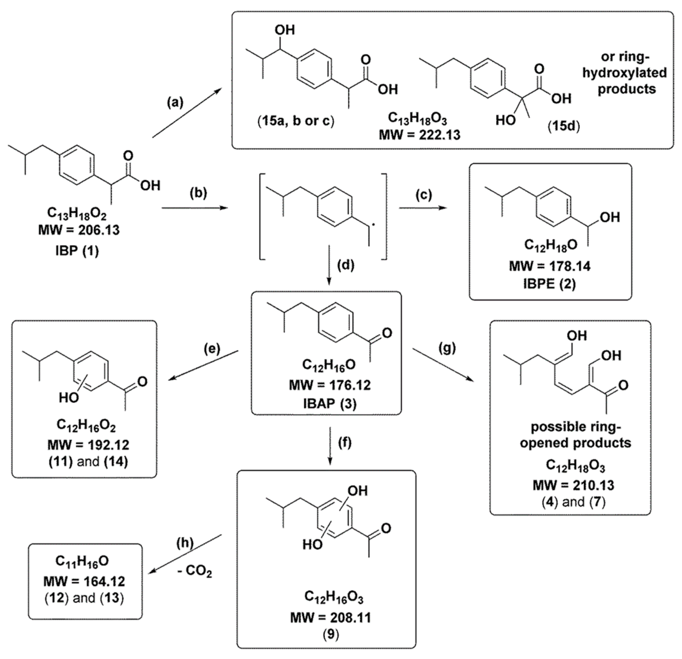 Catalysts 08 00604 g015 Catalysts 08 00604 g015