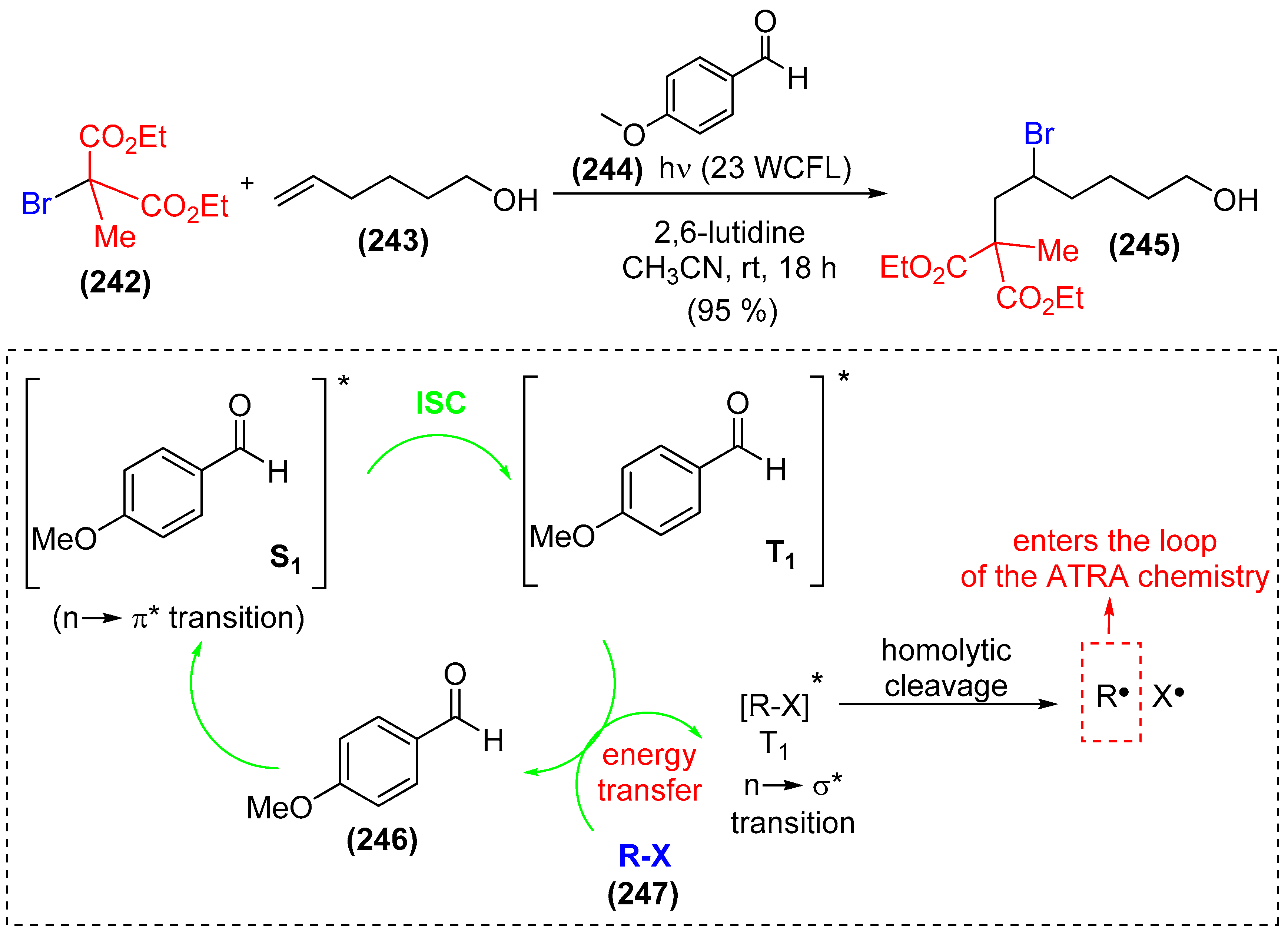 Catalysts 08 00605 sch042