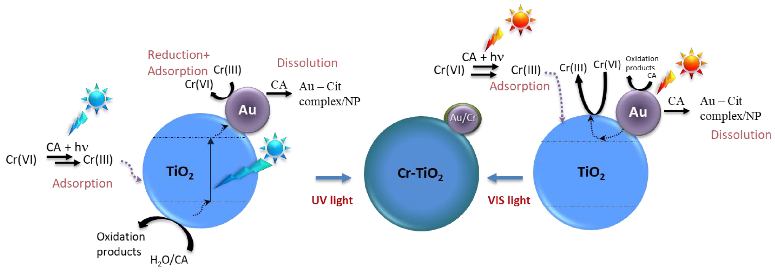 Catalysts 08 00606 g010
