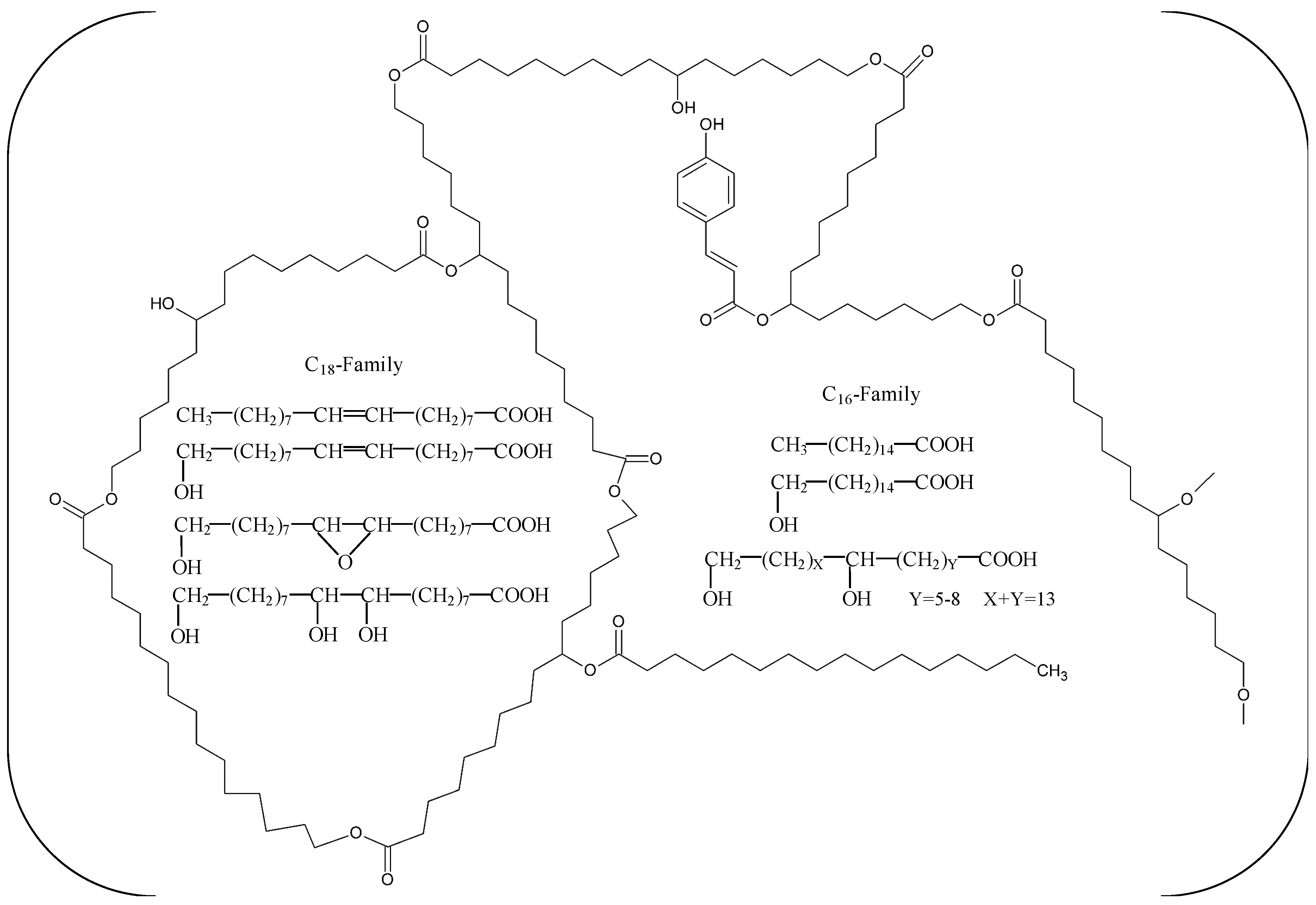 Catalysts 08 00612 g001
