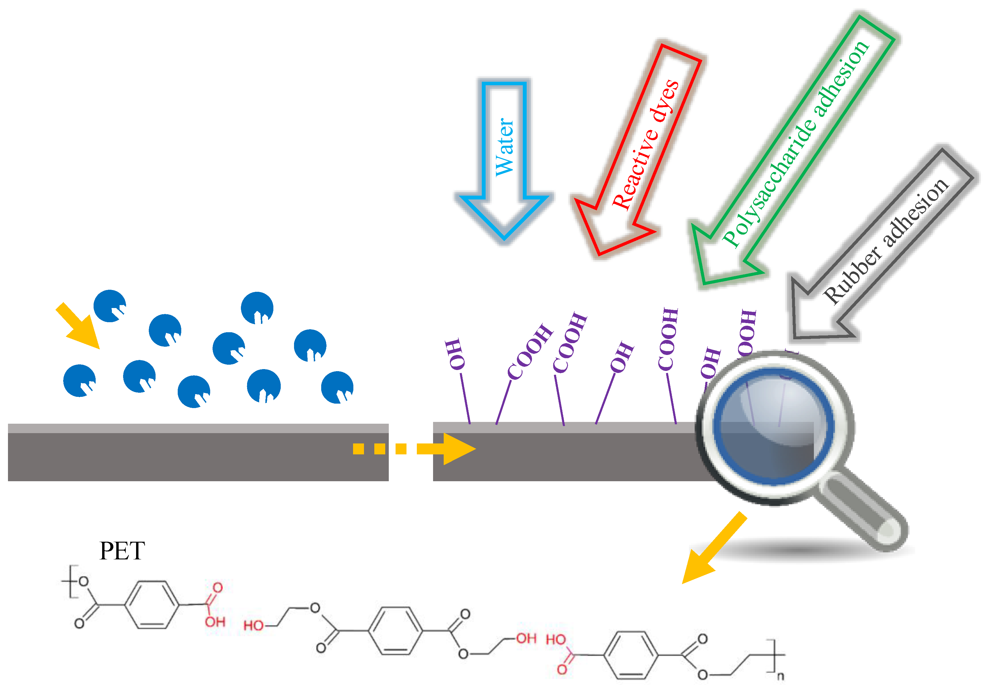 Catalysts 08 00612 g003