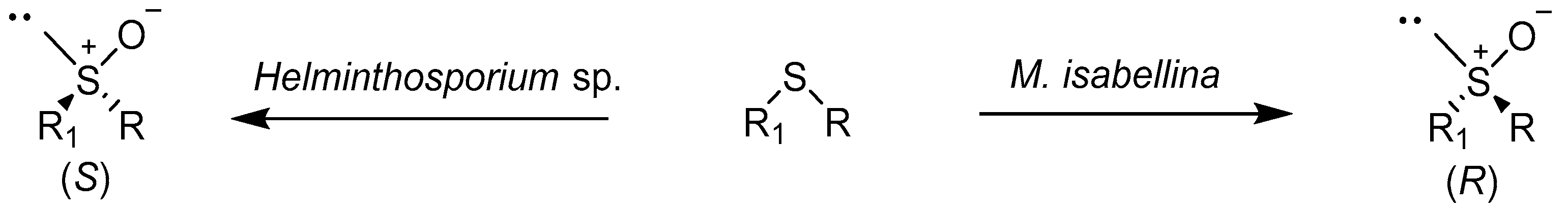 Catalysts 08 00624 sch001
