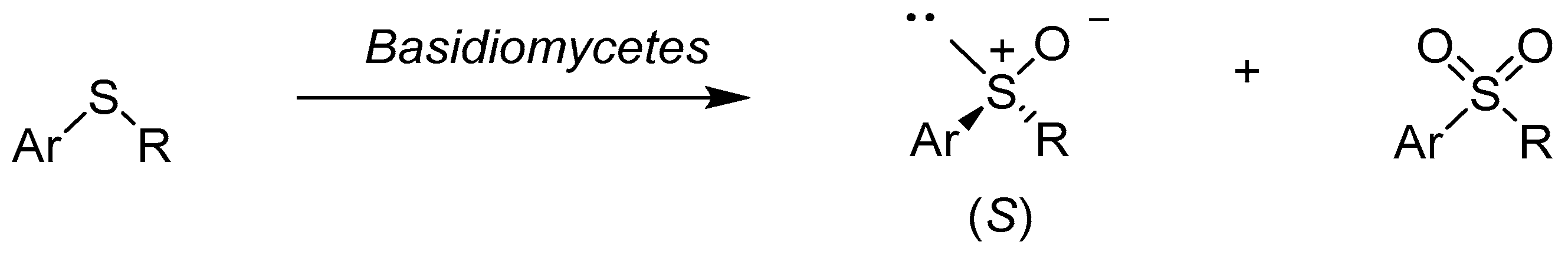 Catalysts 08 00624 sch002