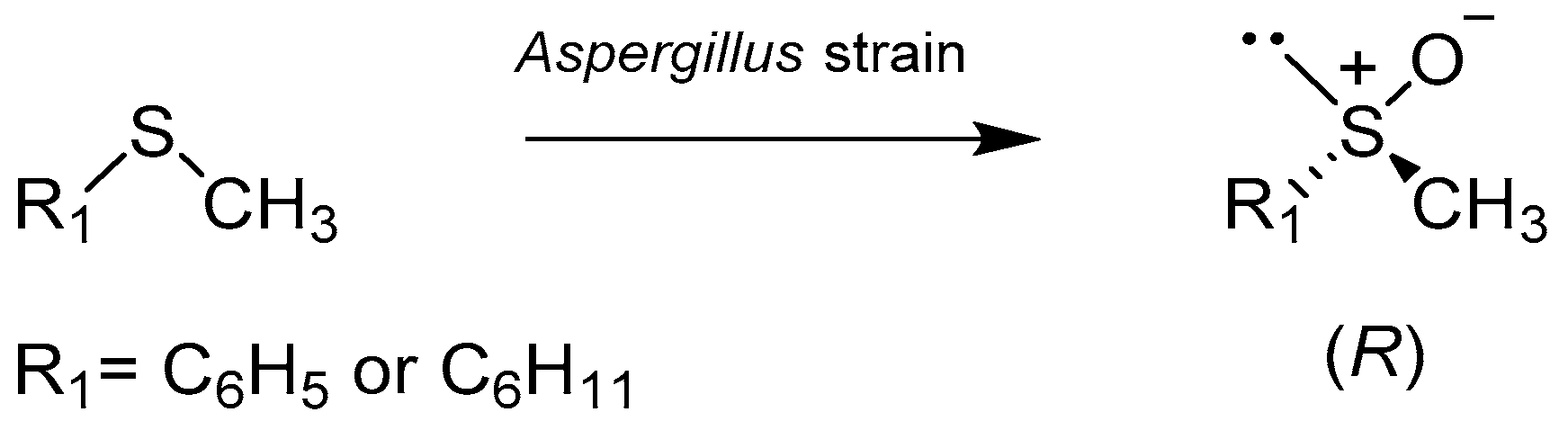 Catalysts 08 00624 sch003