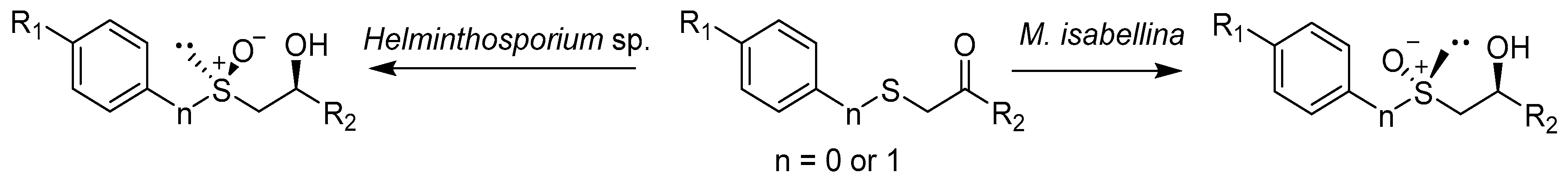 Catalysts 08 00624 sch004