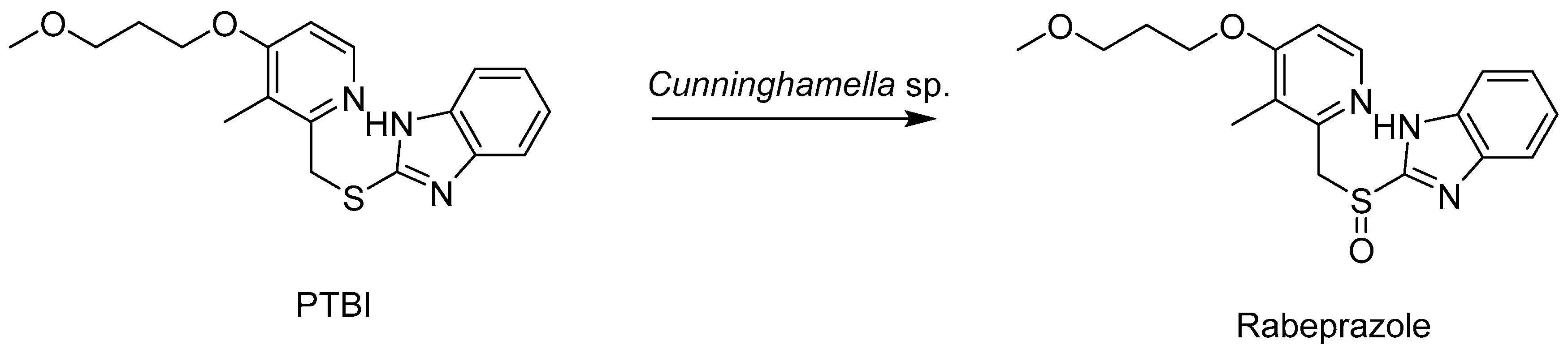 Catalysts 08 00624 sch006
