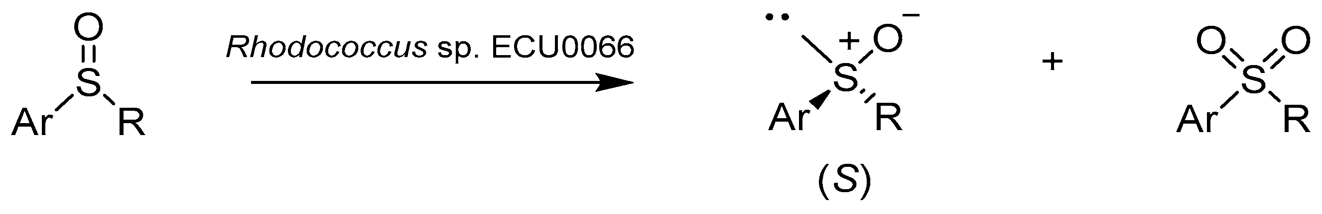 Catalysts 08 00624 sch007