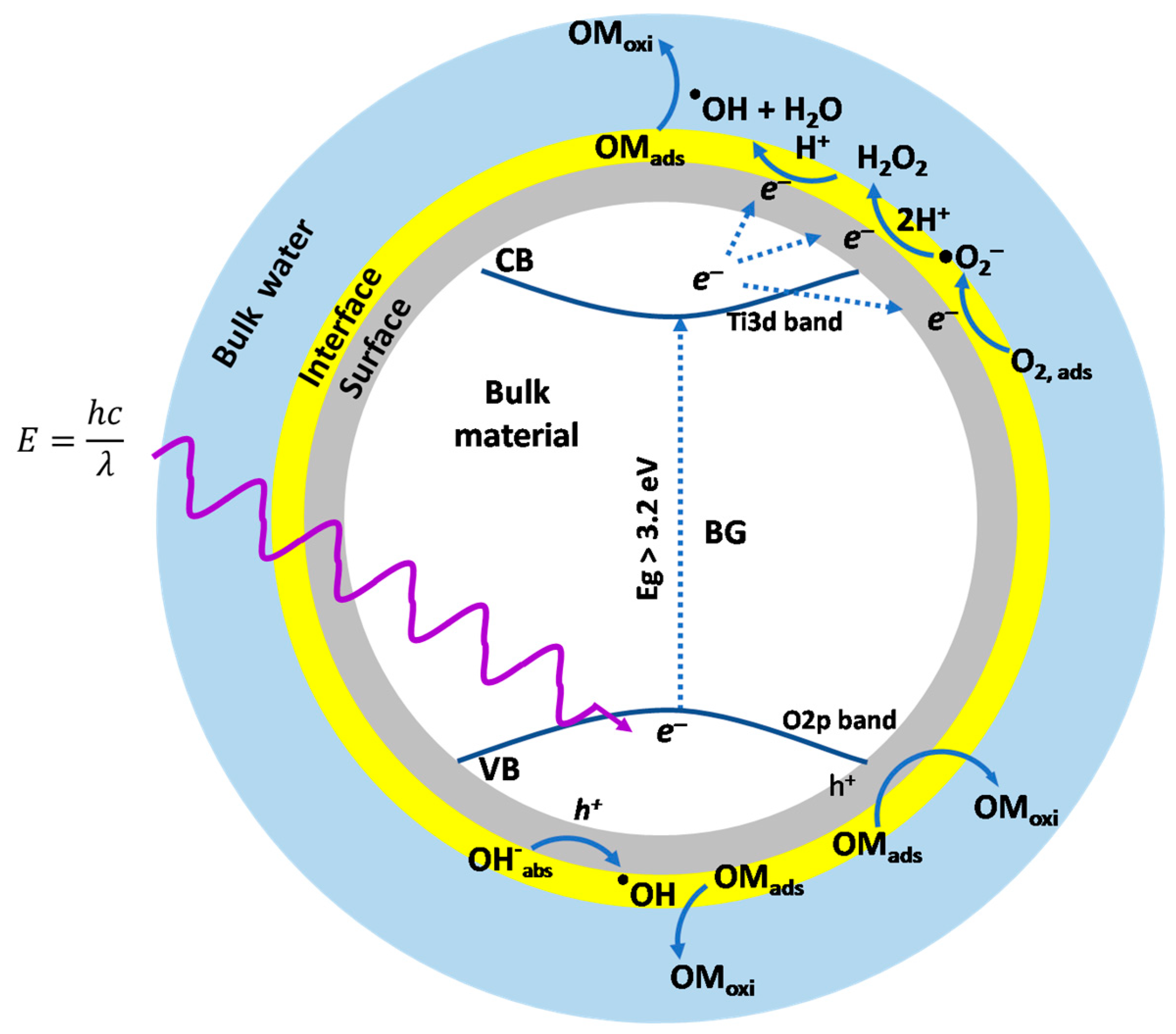 Catalysts 08 00625 g001