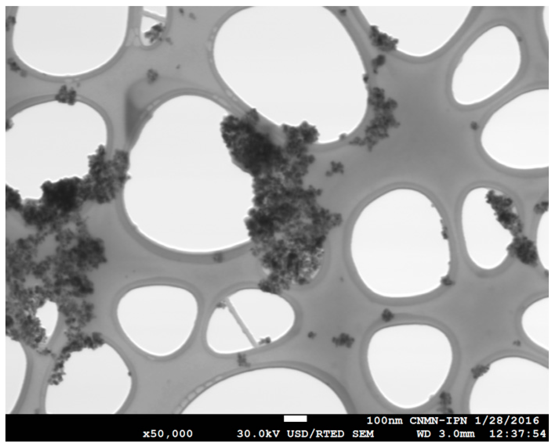 Catalysts 08 00625 g007