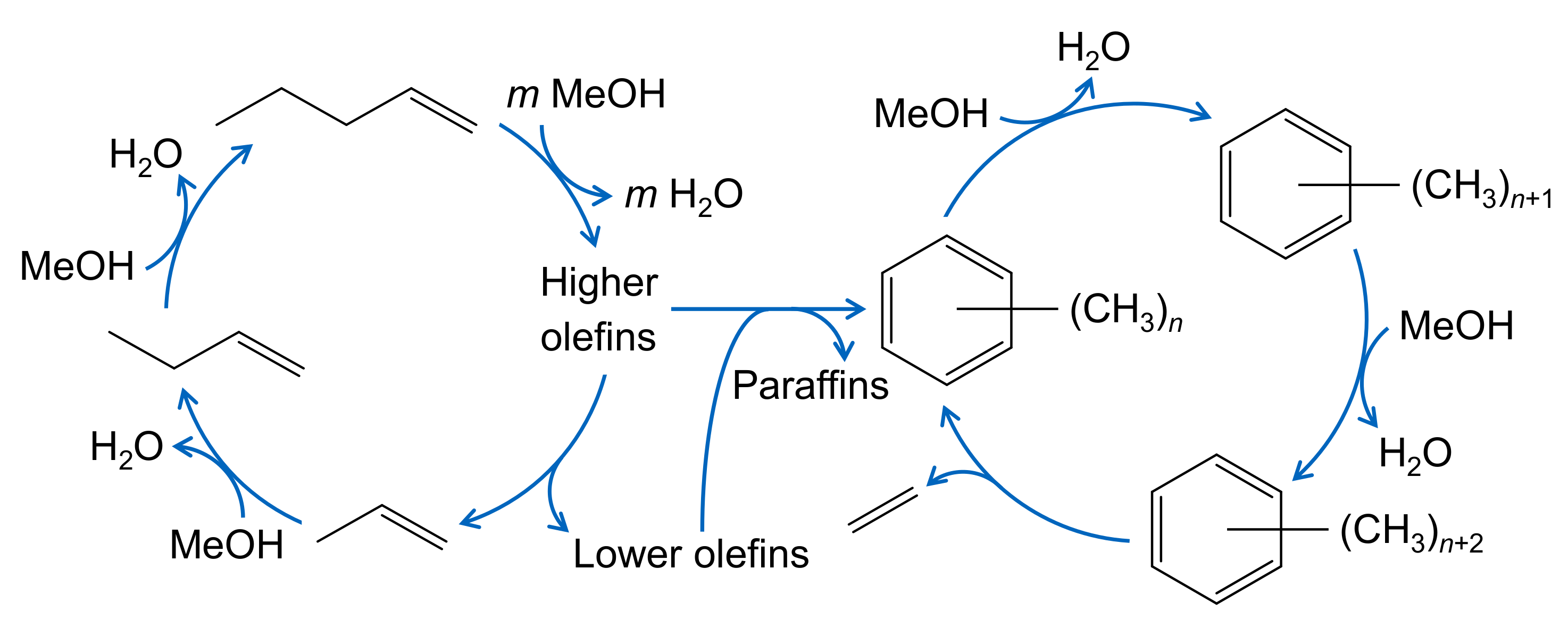 Catalysts 08 00626 g005