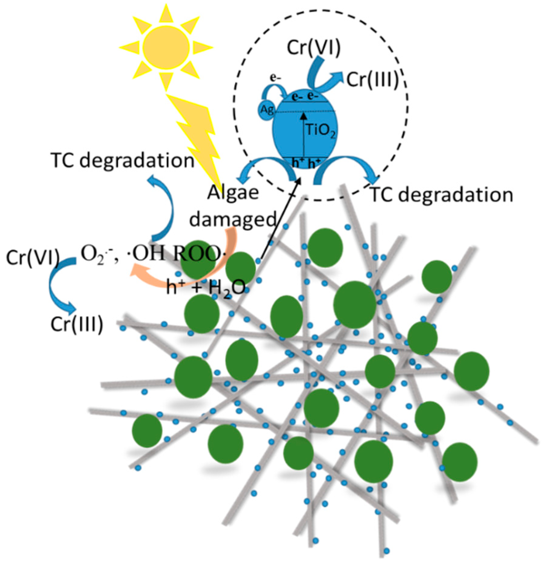 Catalysts 08 00628 g008 Catalysts 08 00628 g008