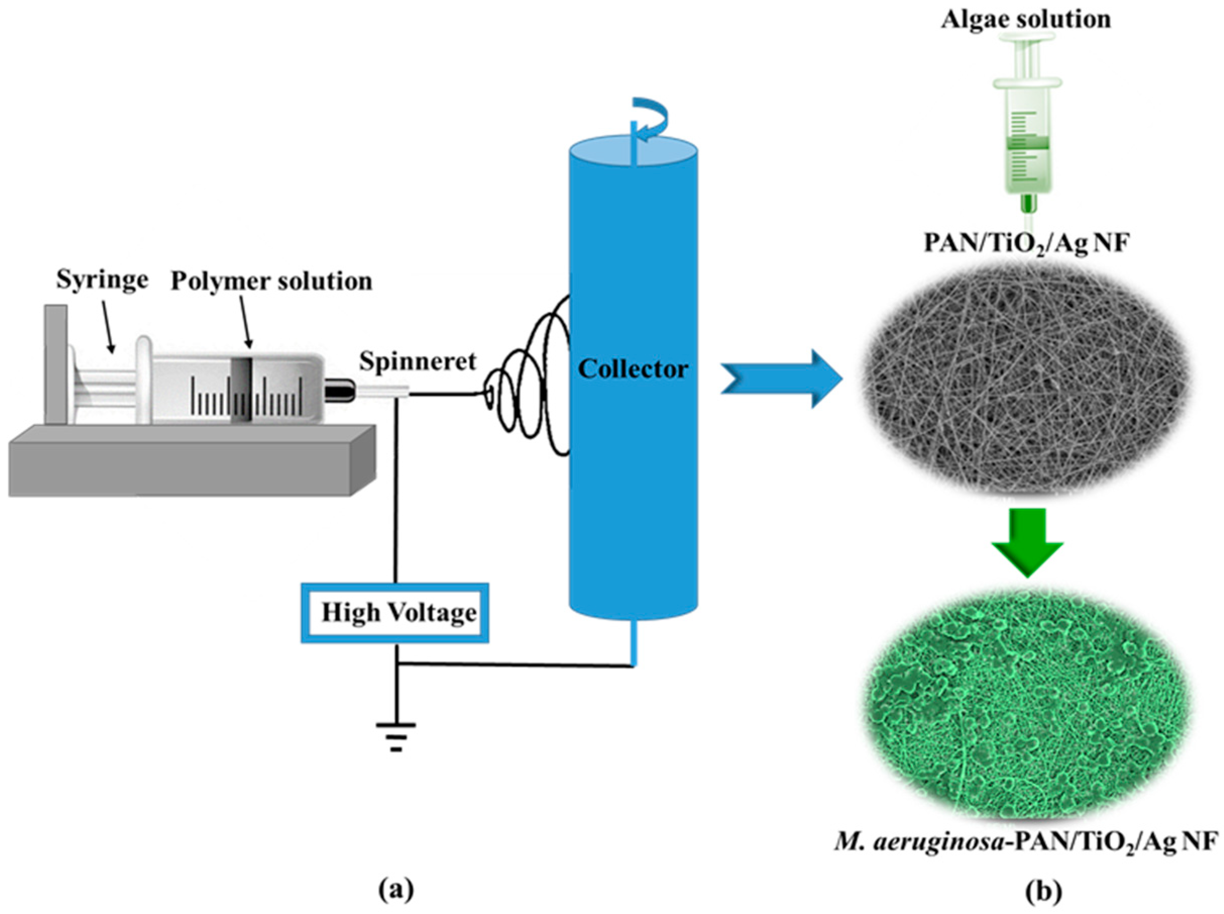 Catalysts 08 00628 g010 Catalysts 08 00628 g010