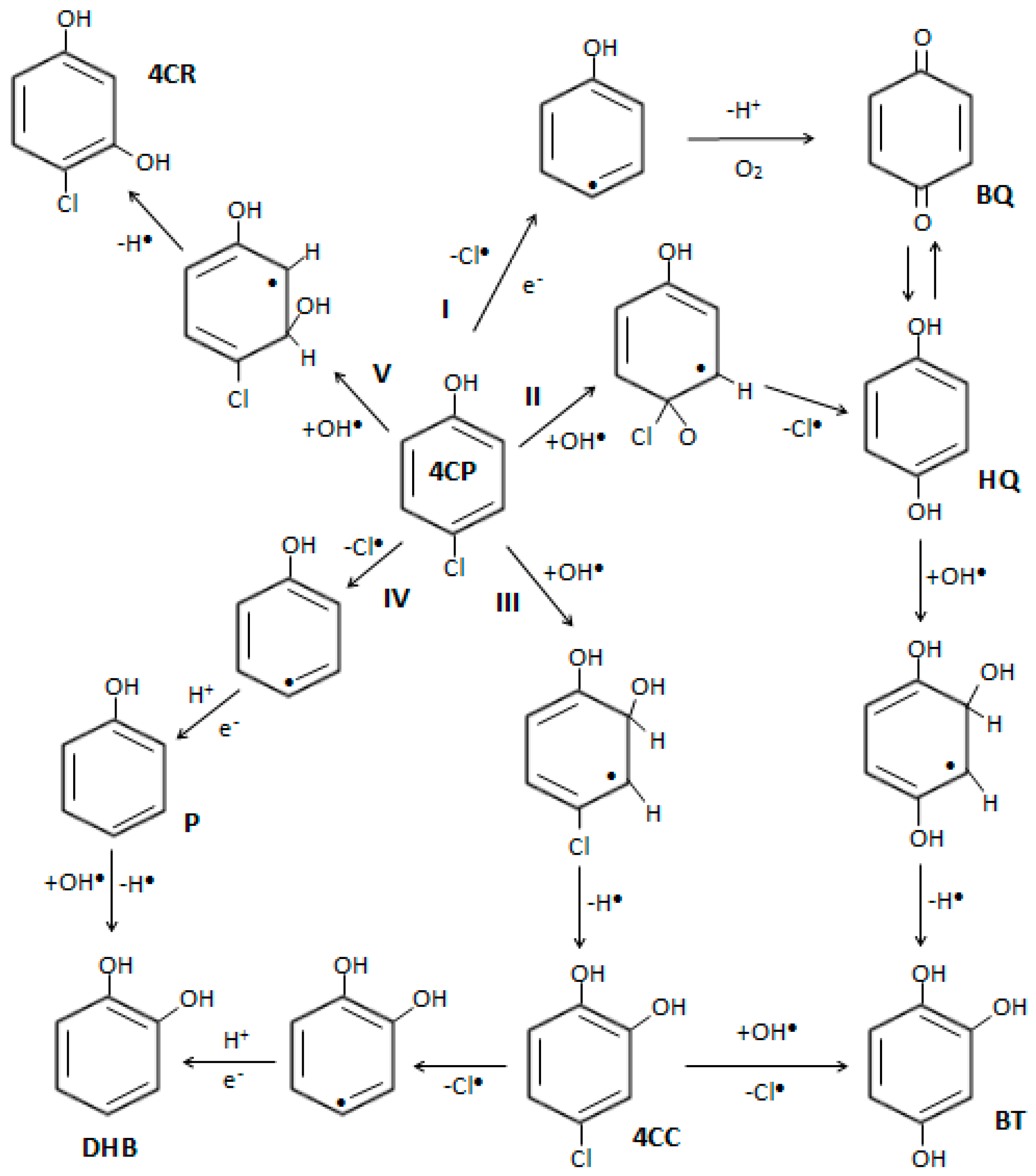 Catalysts 08 00631 g015