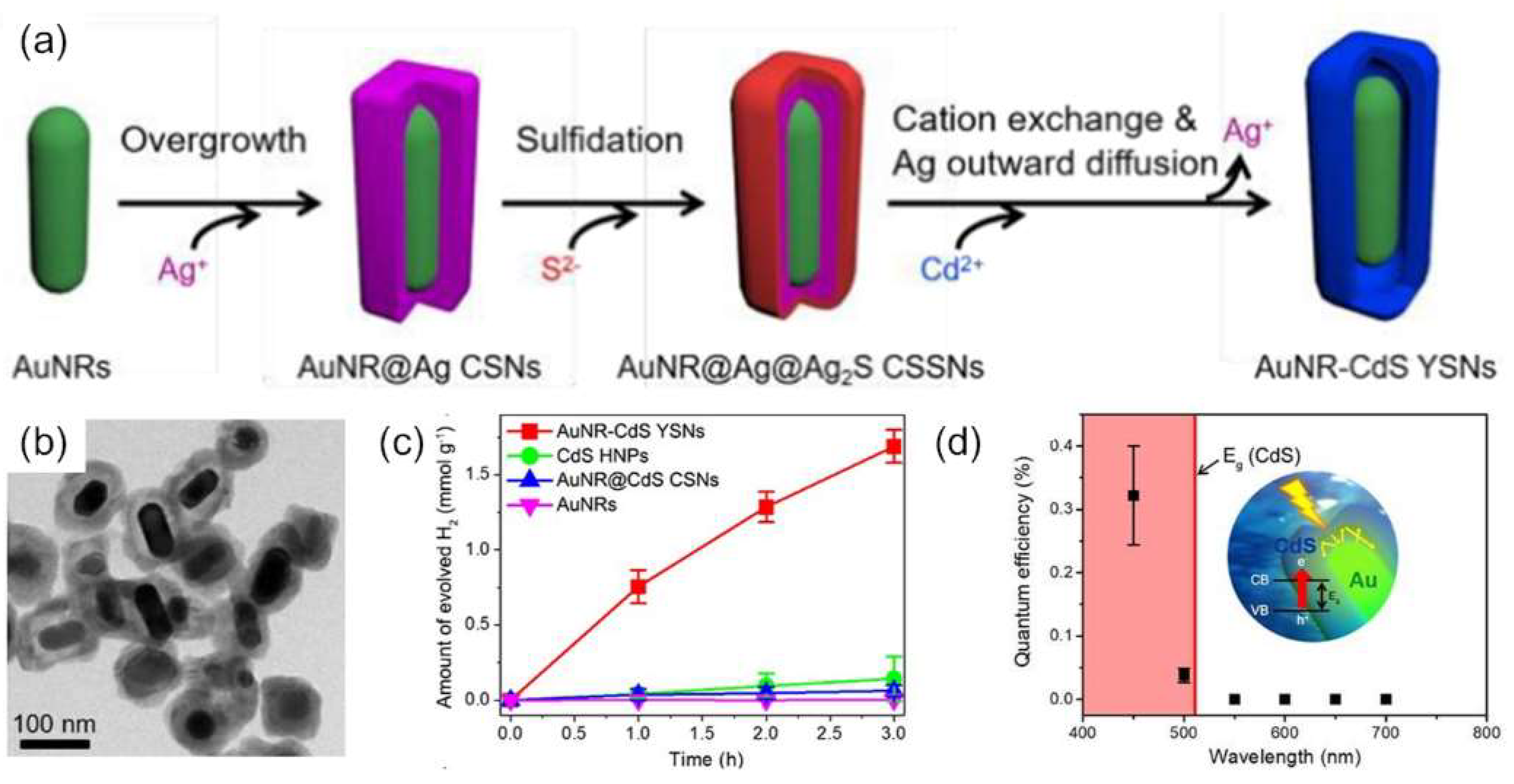 Catalysts 08 00634 g002