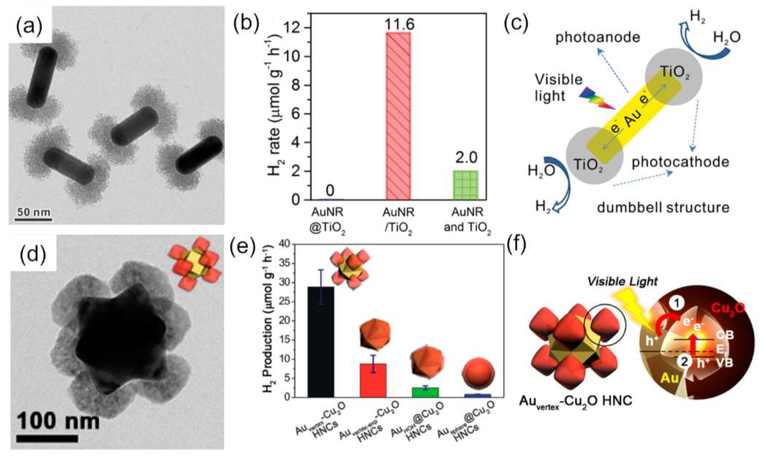 Catalysts 08 00634 g003