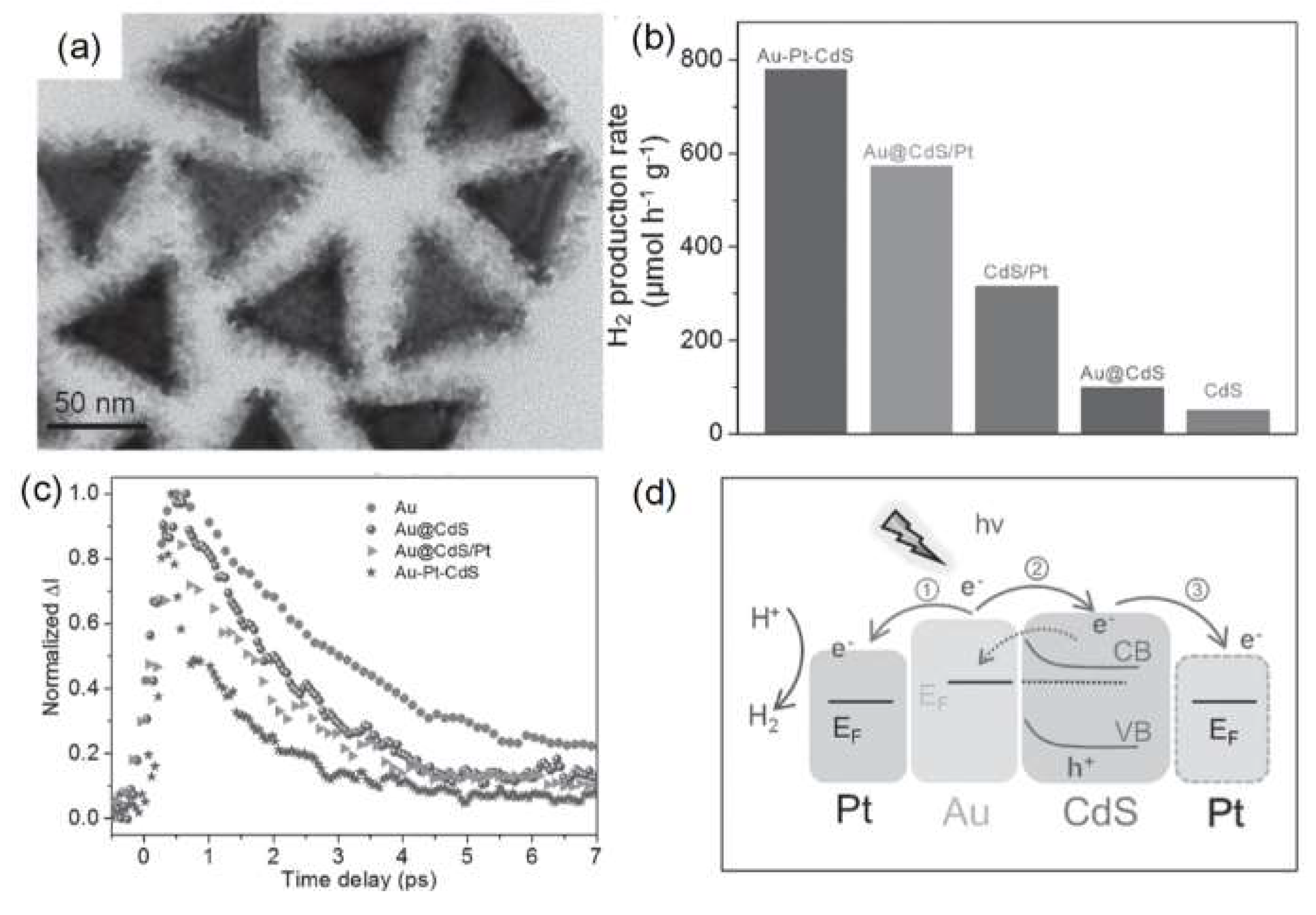 Catalysts 08 00634 g006