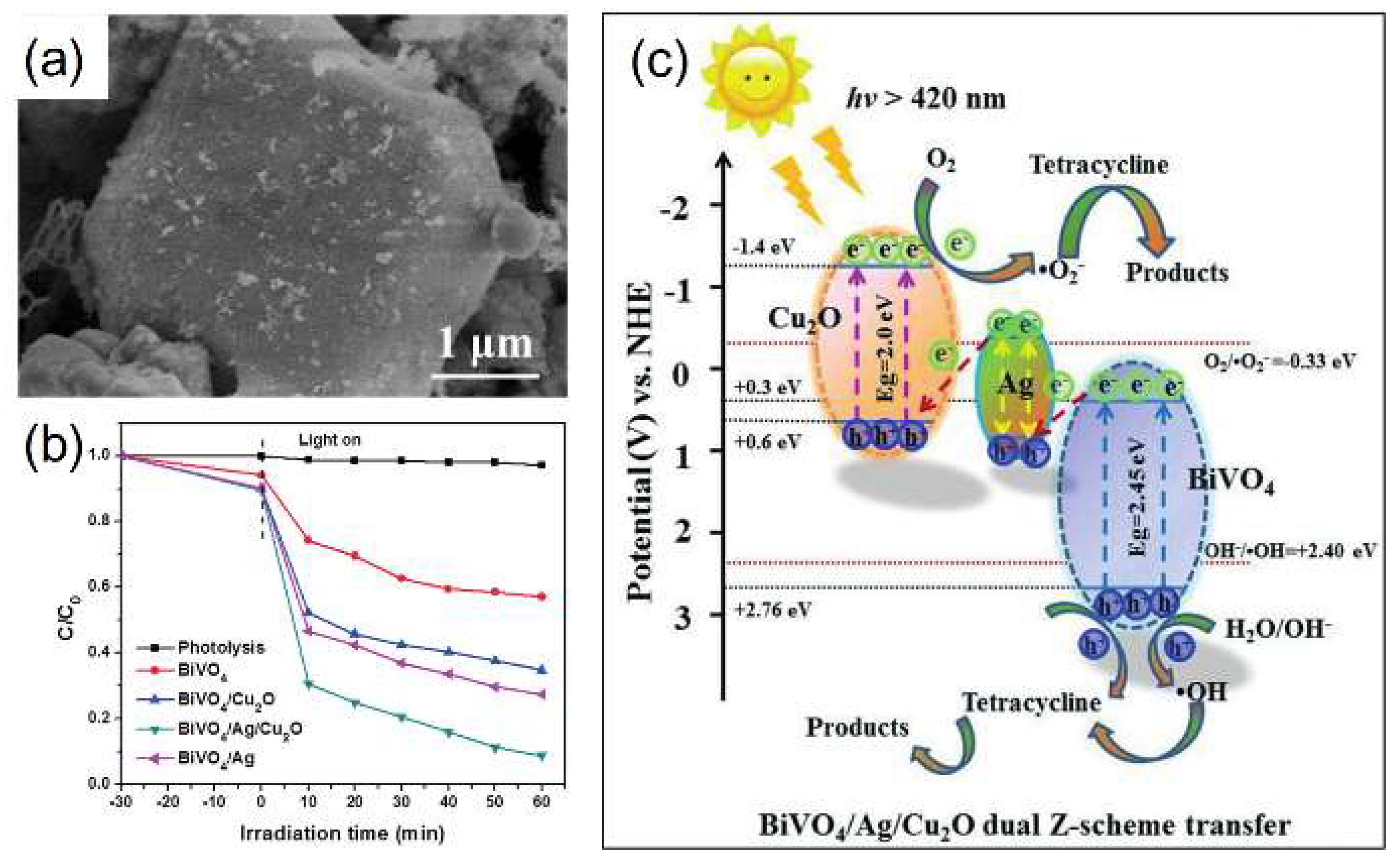 Catalysts 08 00634 g007