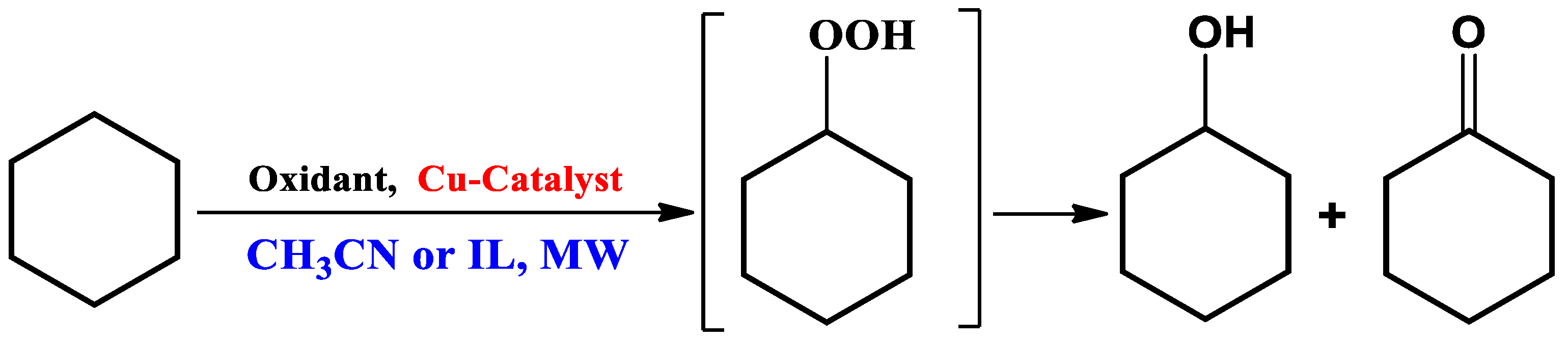 Catalysts 08 00636 sch001