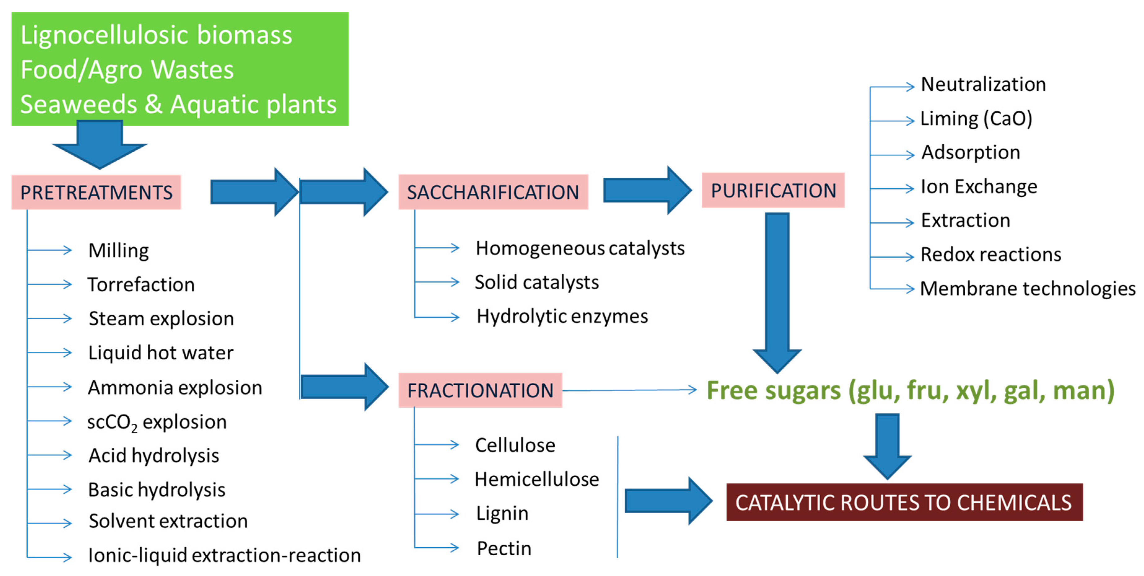 Catalysts 08 00637 g001 Catalysts 08 00637 g001