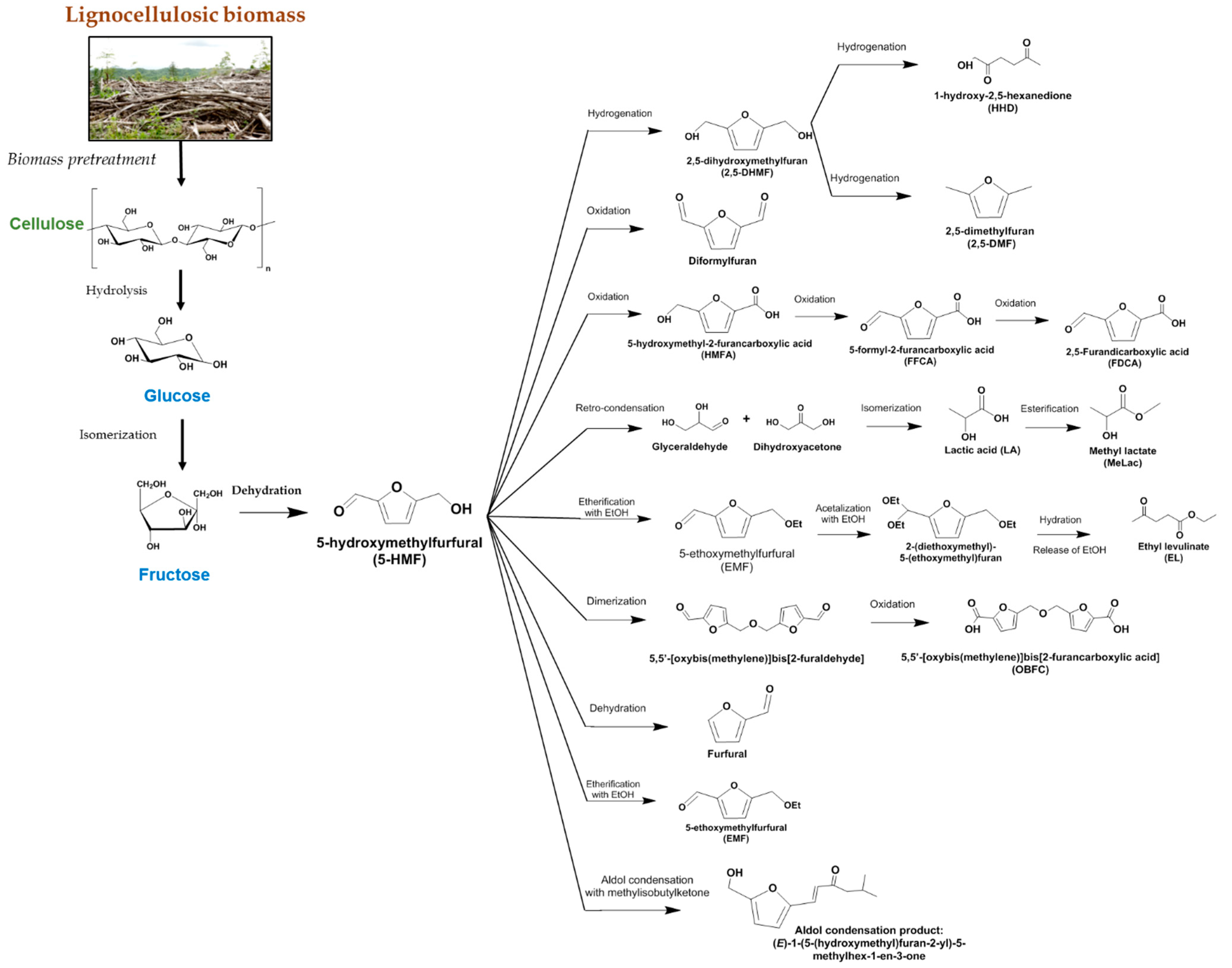 Catalysts 08 00637 g002 Catalysts 08 00637 g002