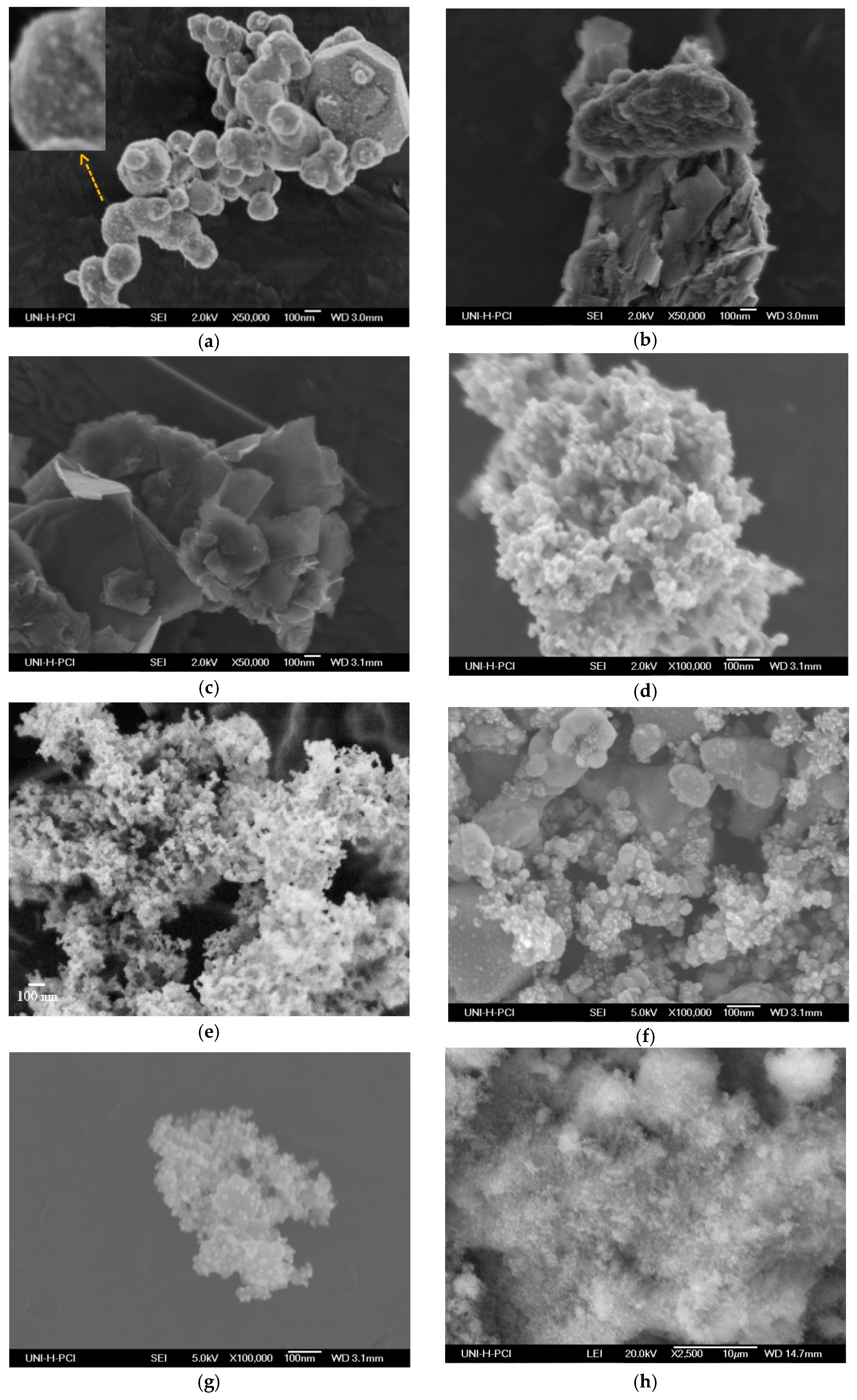 Catalysts 08 00647 g002