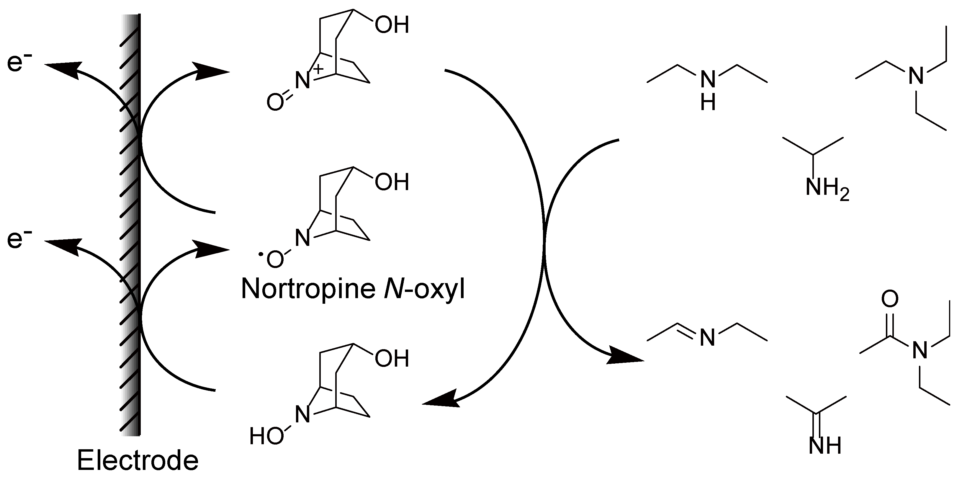 Catalysts 08 00649 g001 Catalysts 08 00649 g001