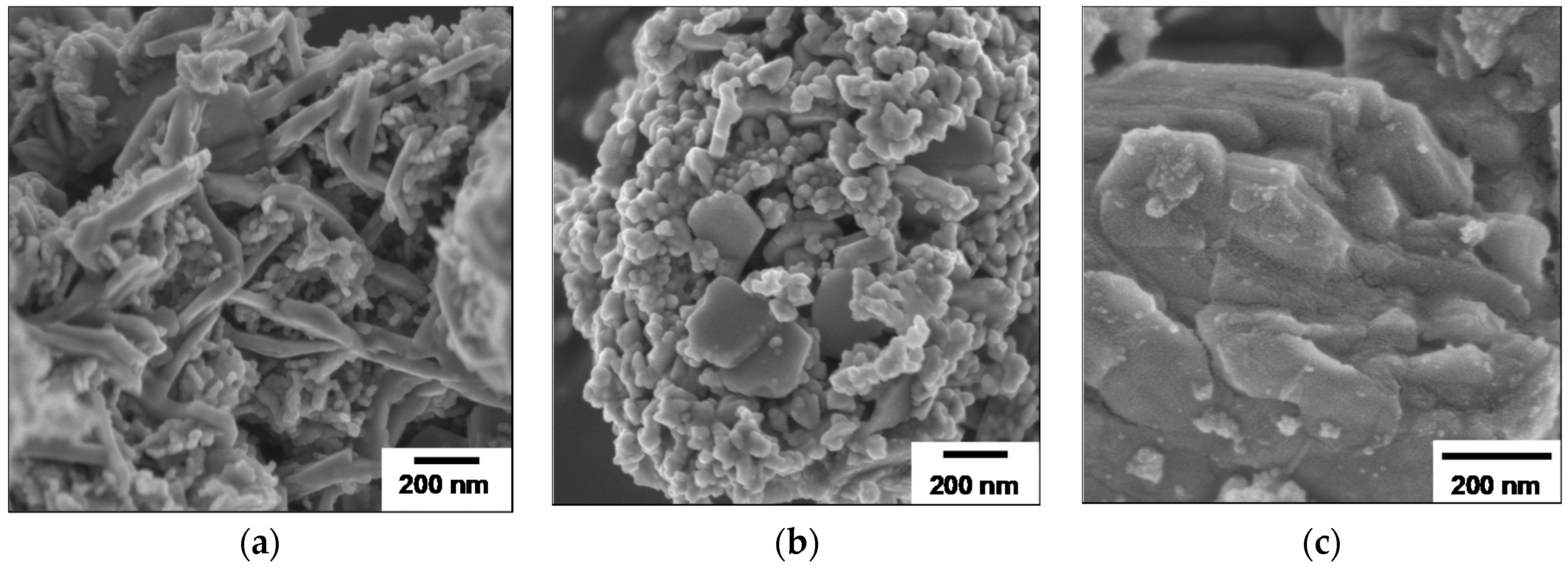 Catalysts 08 00667 g004