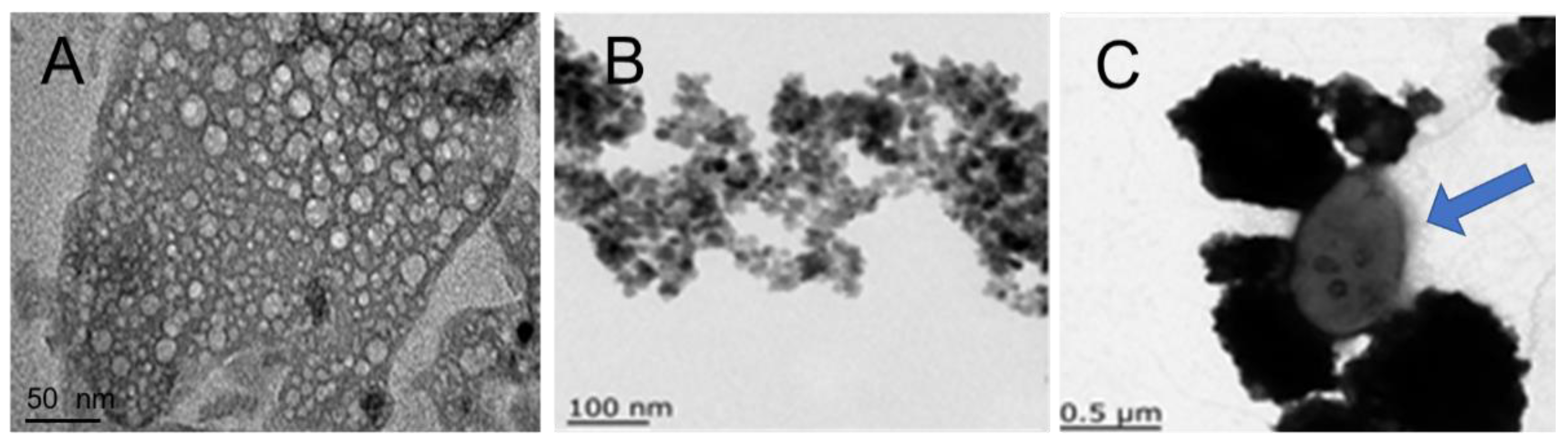 Catalysts 09 00007 g002