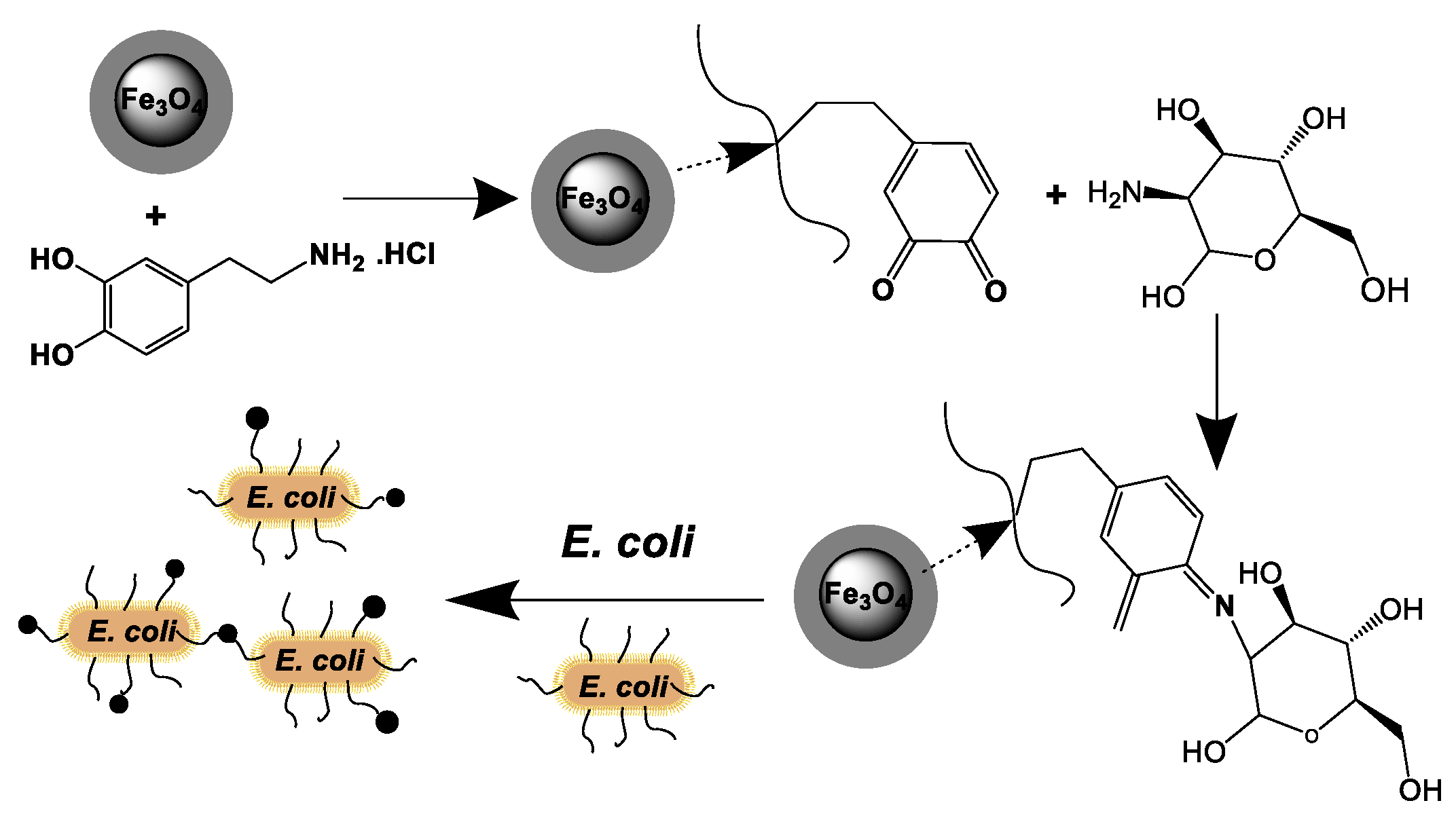 Catalysts 09 00007 sch001