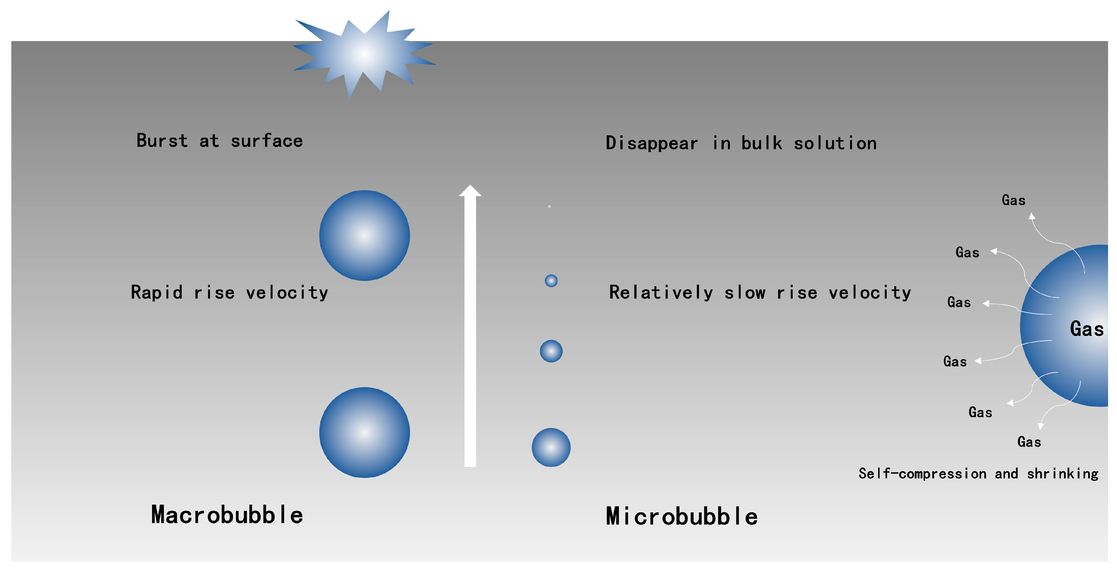 Catalysts 09 00010 g001 Catalysts 09 00010 g001
