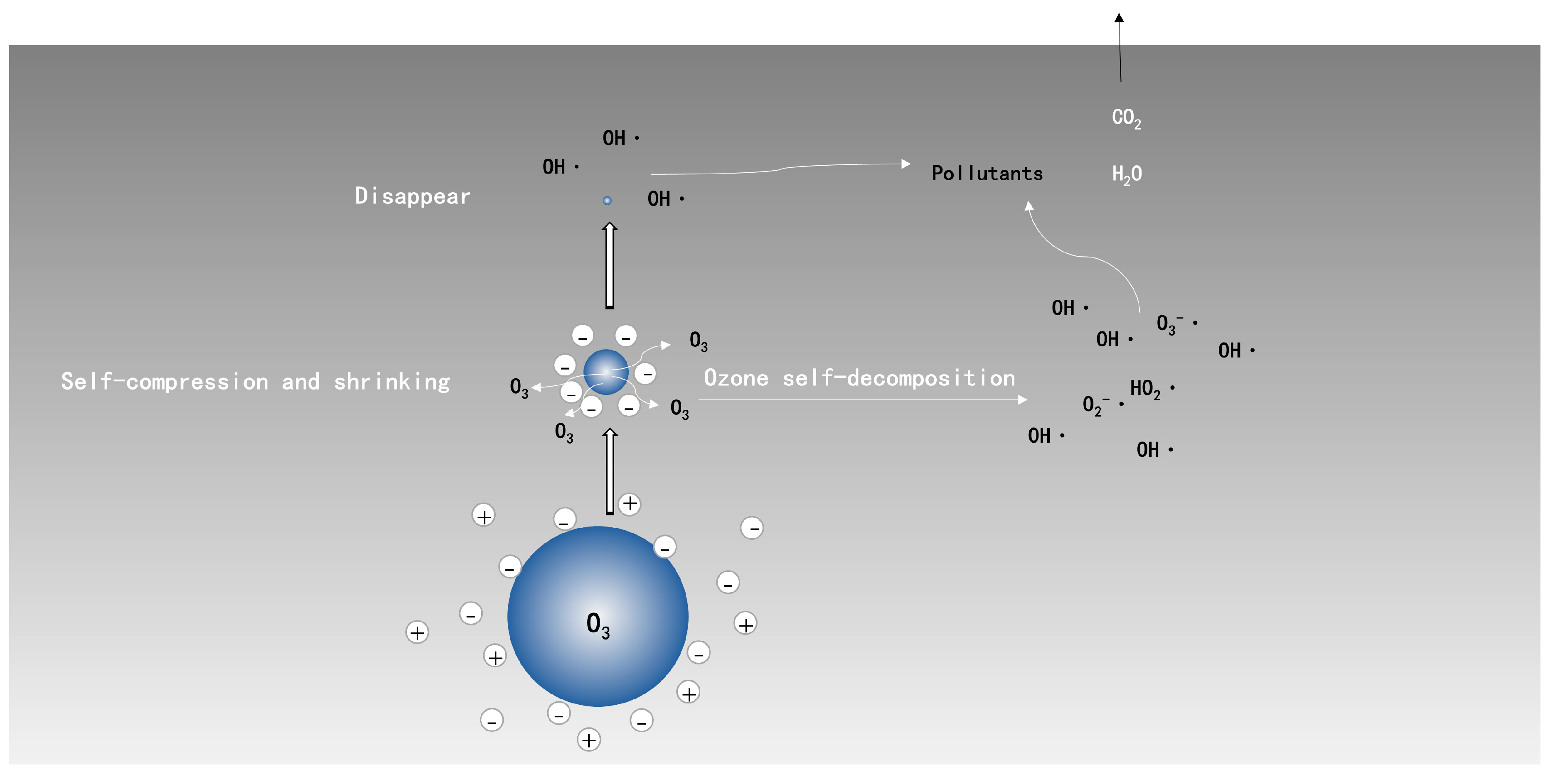 Catalysts 09 00010 g002 Catalysts 09 00010 g002