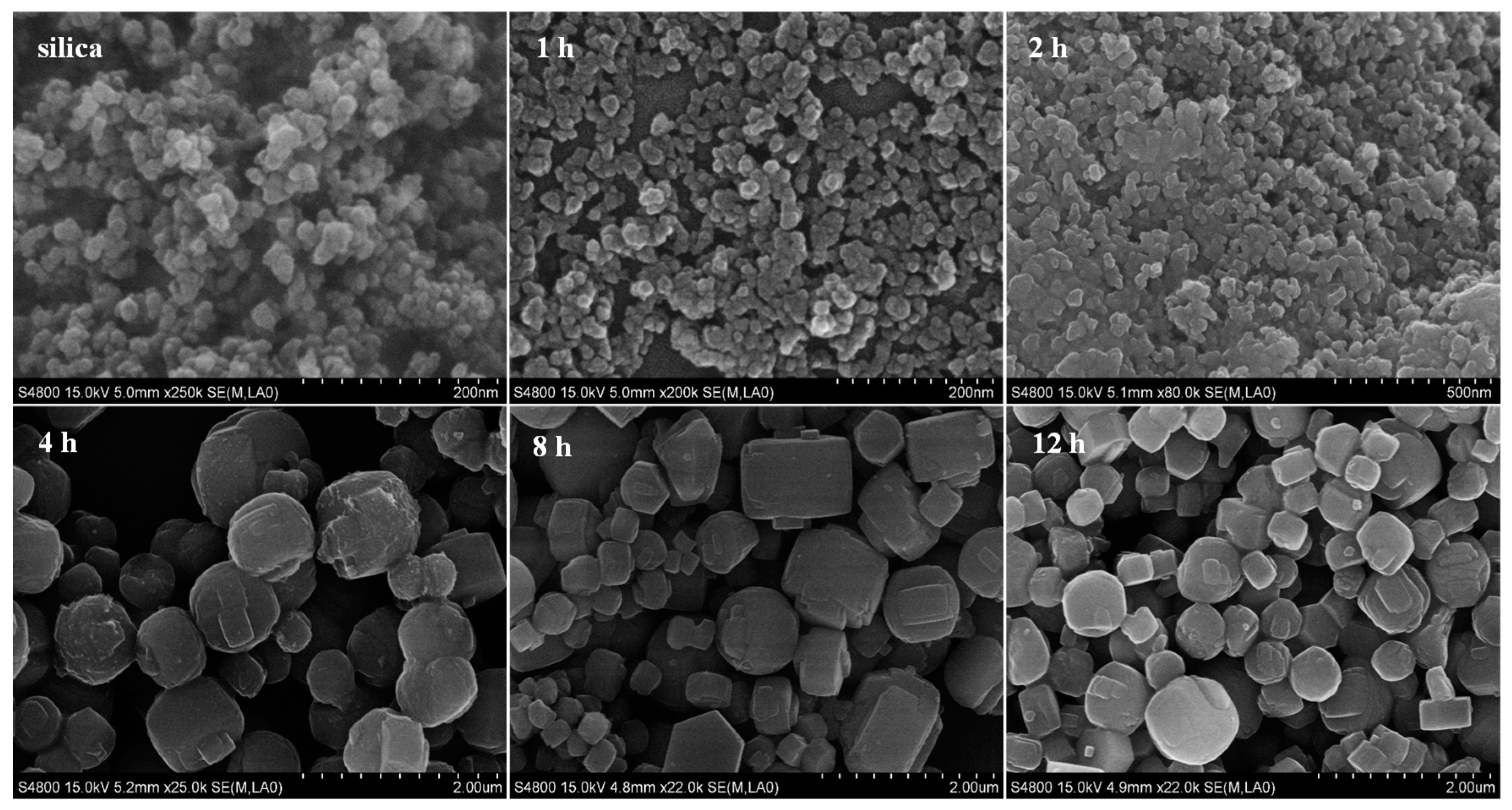 Catalysts 09 00013 g002 Catalysts 09 00013 g002