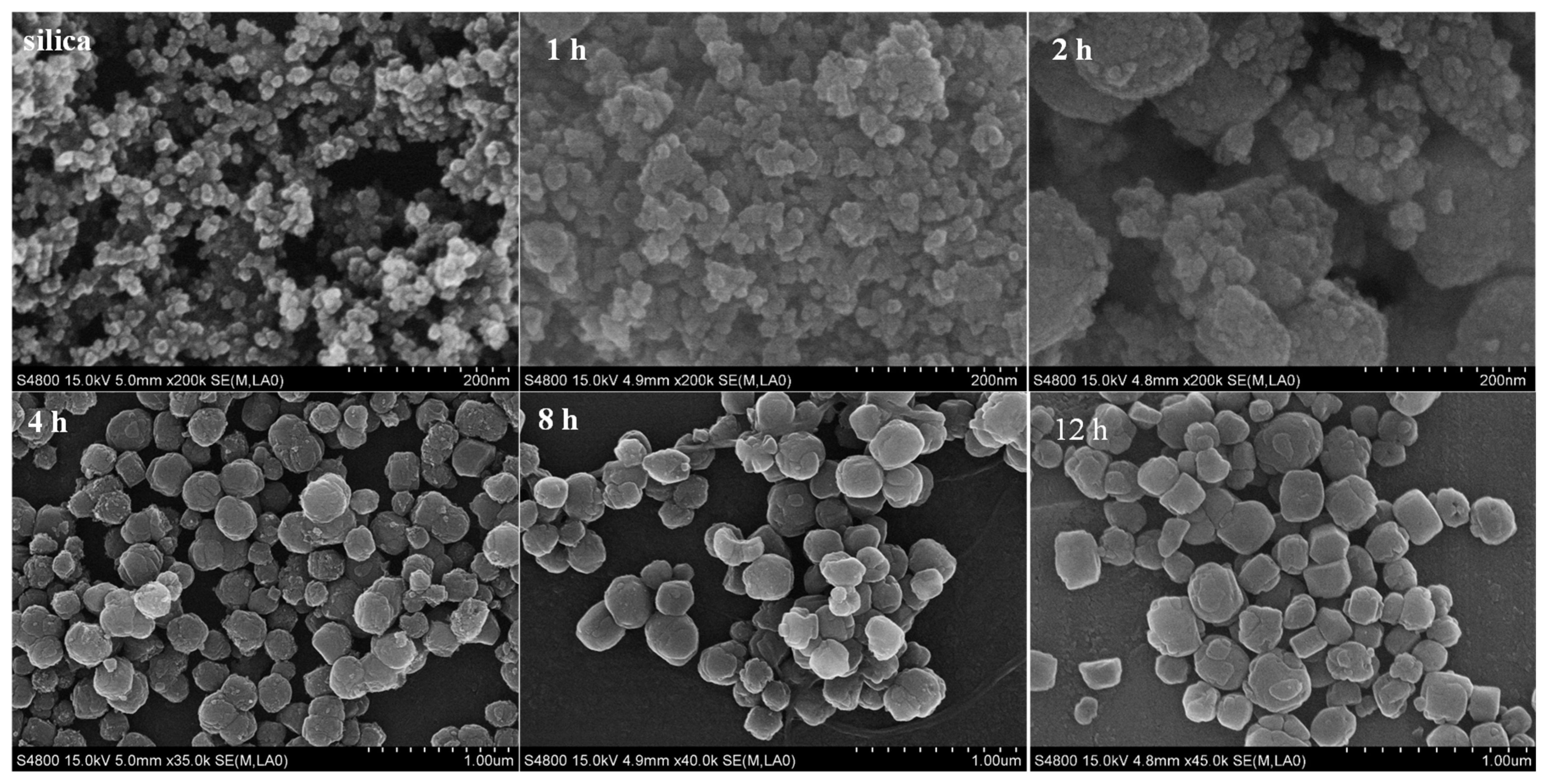 Catalysts 09 00013 g004 Catalysts 09 00013 g004