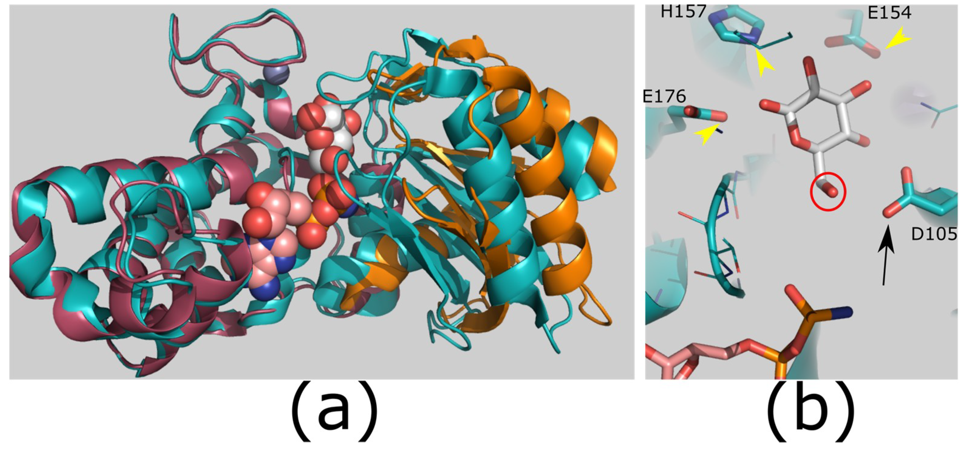 Catalysts 09 00029 g003