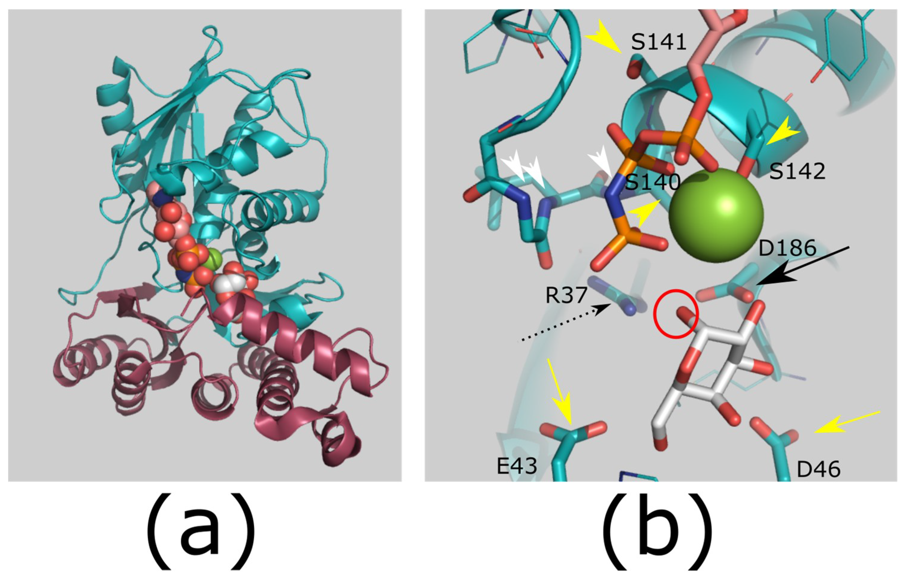 Catalysts 09 00029 g005