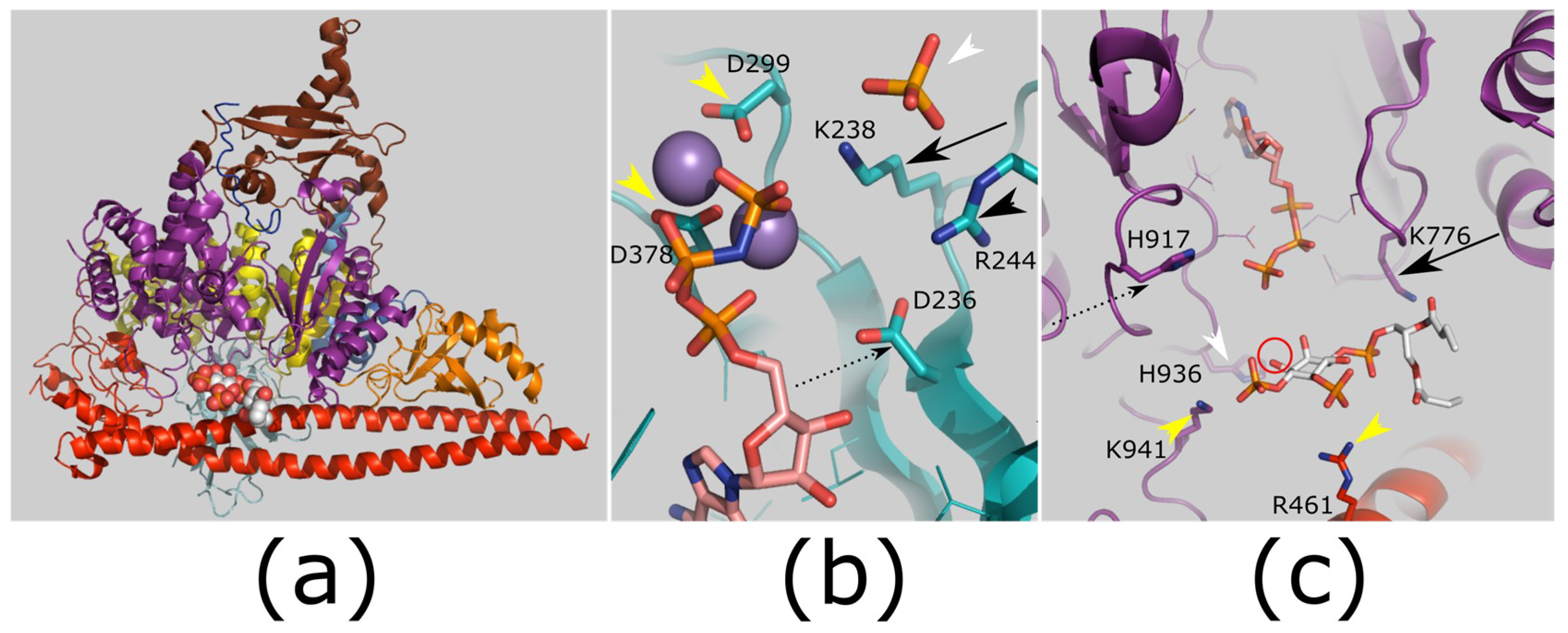 Catalysts 09 00029 g006