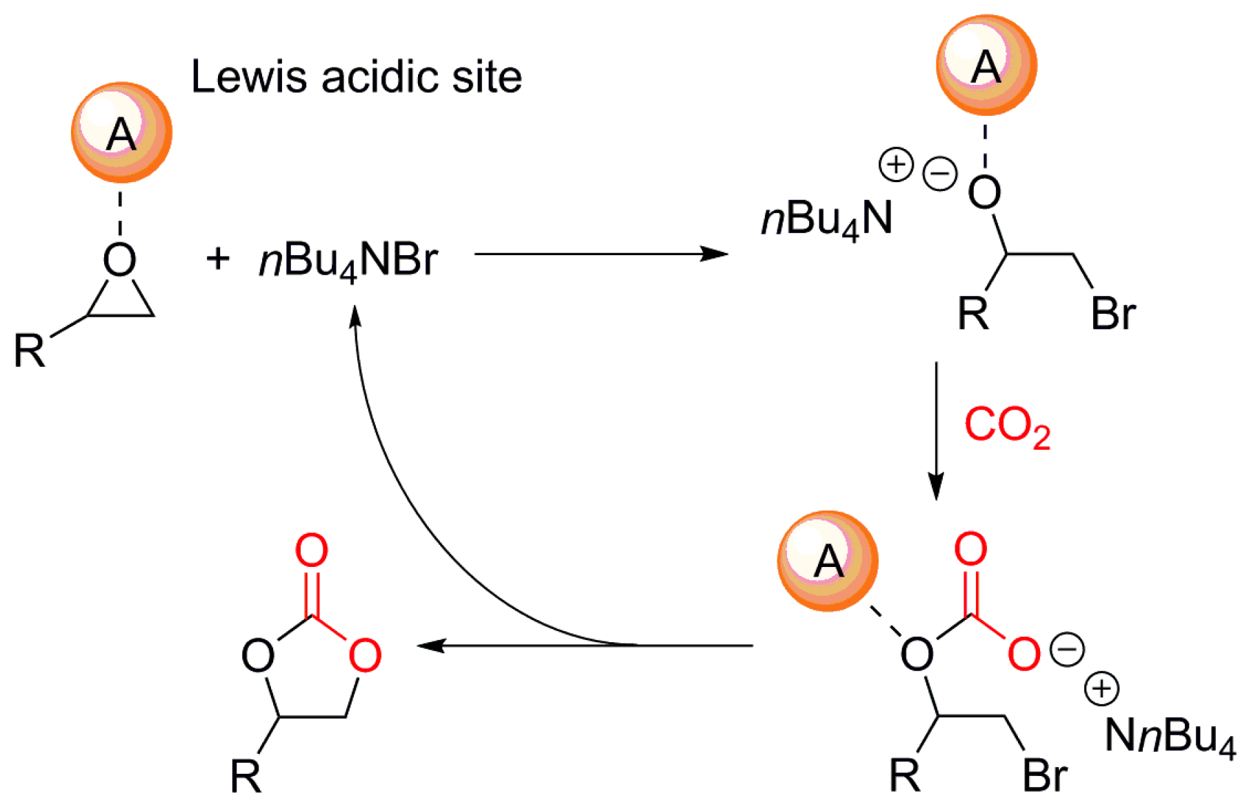 Catalysts 09 00034 sch001