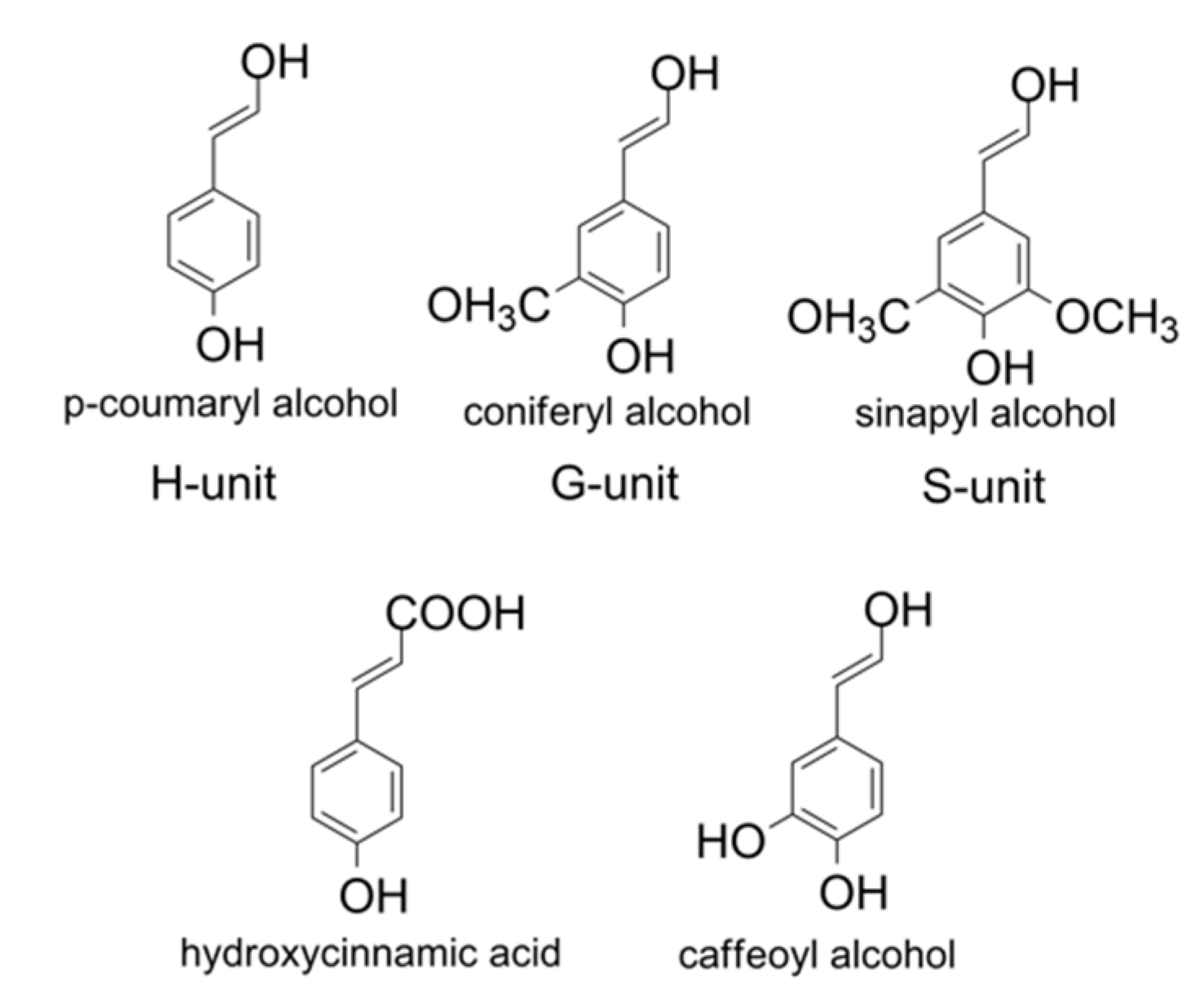 Catalysts 09 00037 g002 Catalysts 09 00037 g002